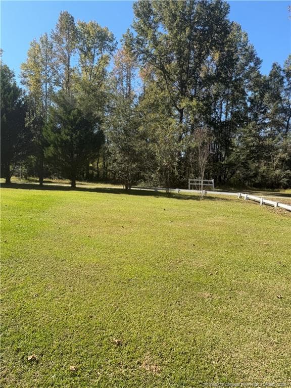 Photo 30 - 4307 Bunnlevel Erwin Road, Erwin, NC 28339