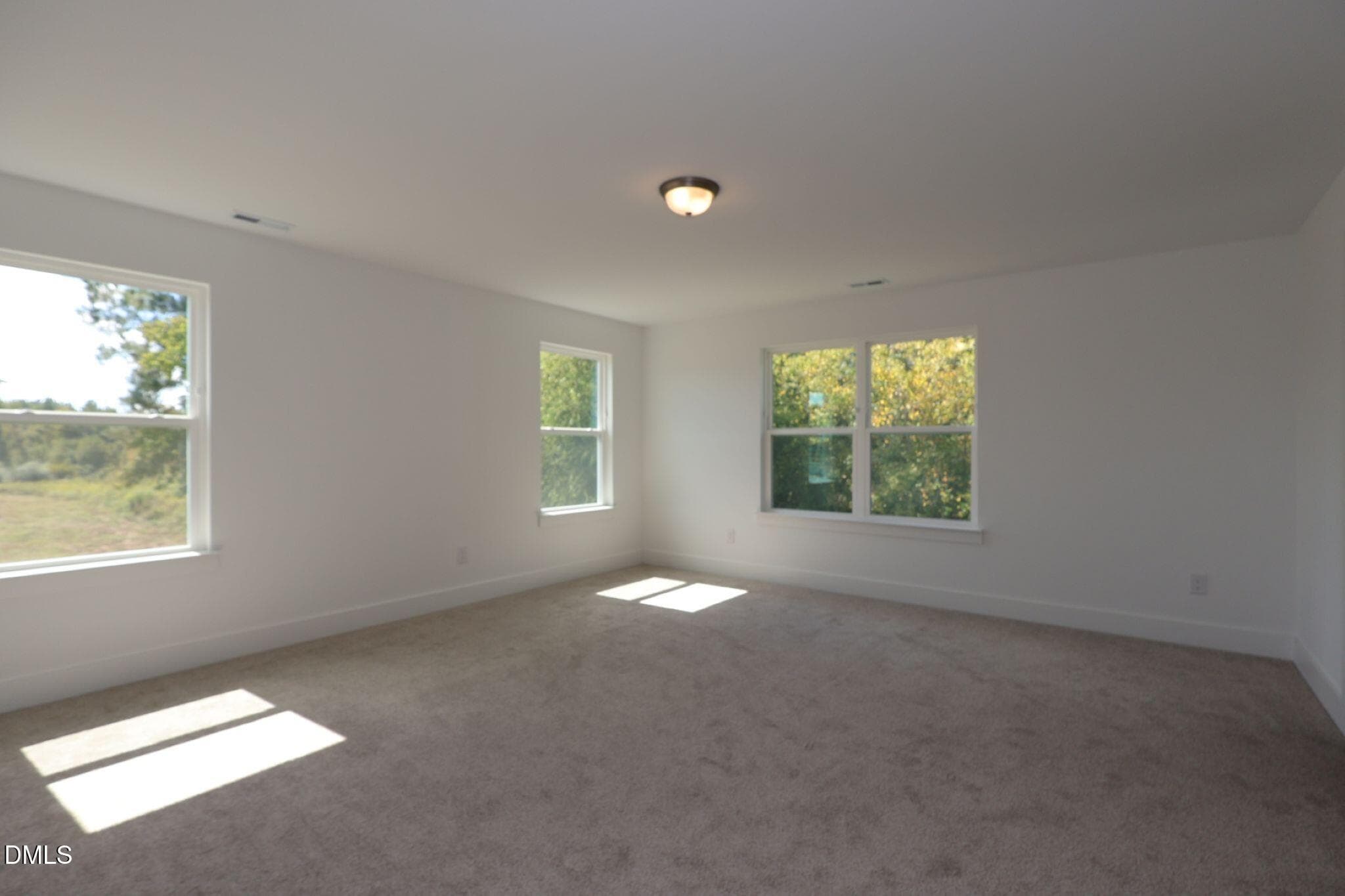Shenandoah CR primary owner's suite - 74 Mendenhall Drive, Angier, NC 27501