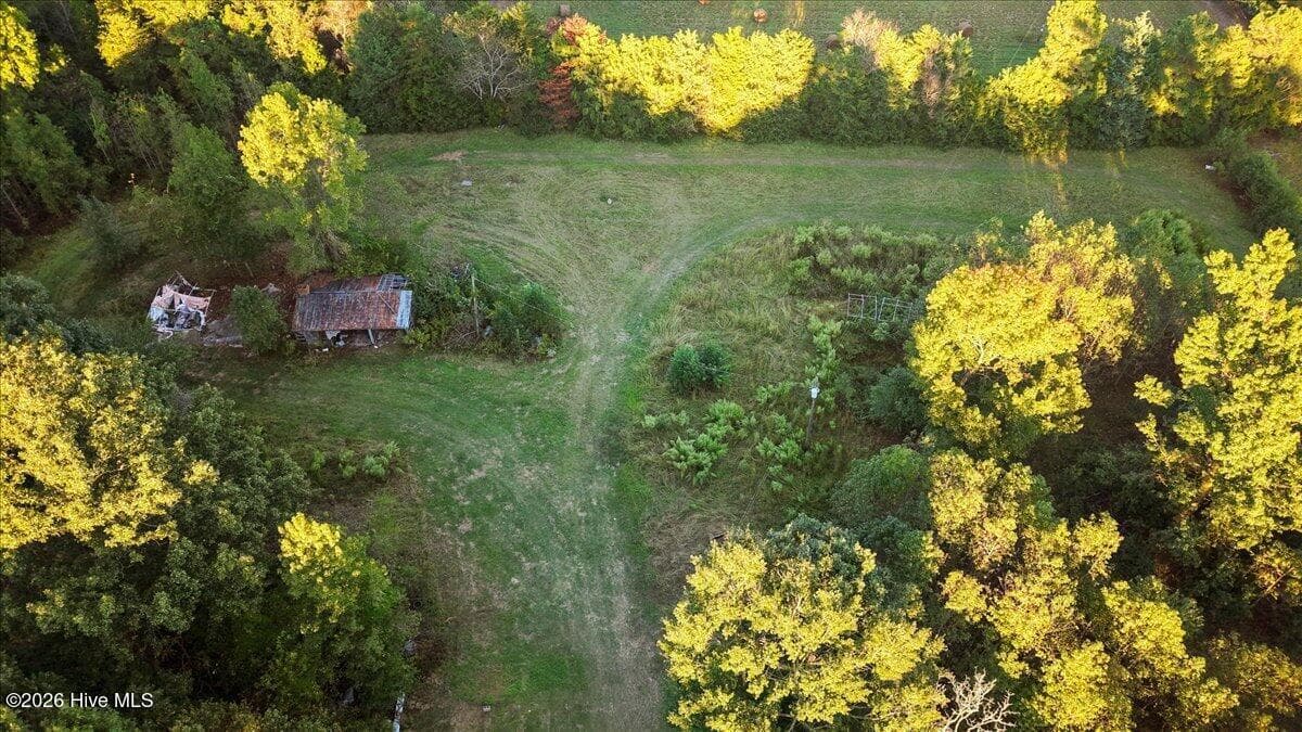 Single Family Residence at 462 Camp Trailee Road, Dudley, NC 28333, photo 16 of 43