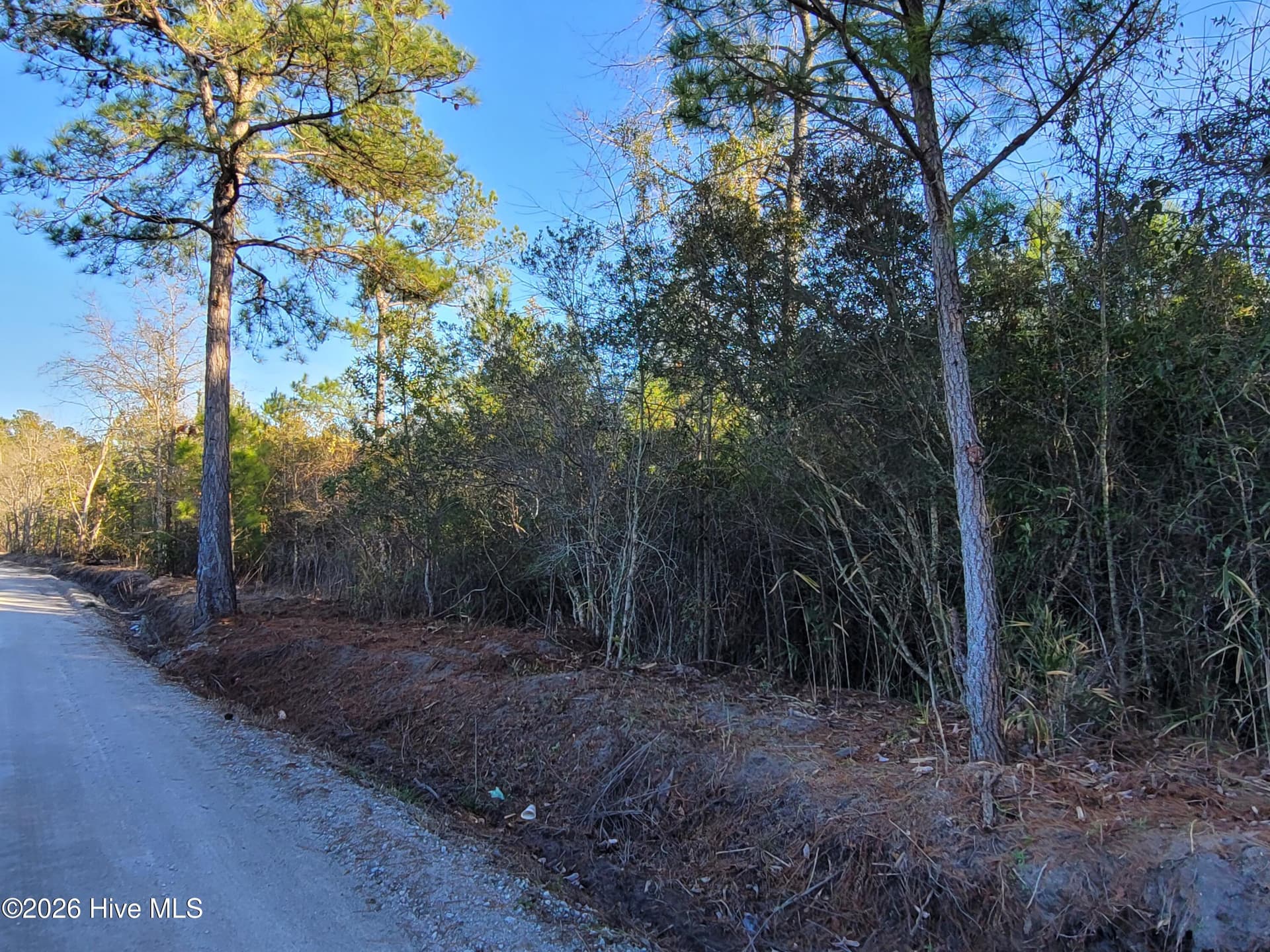 Wooded at Lot 2 2 Auburn Drive, Loris, SC 29569, photo 8 of 8