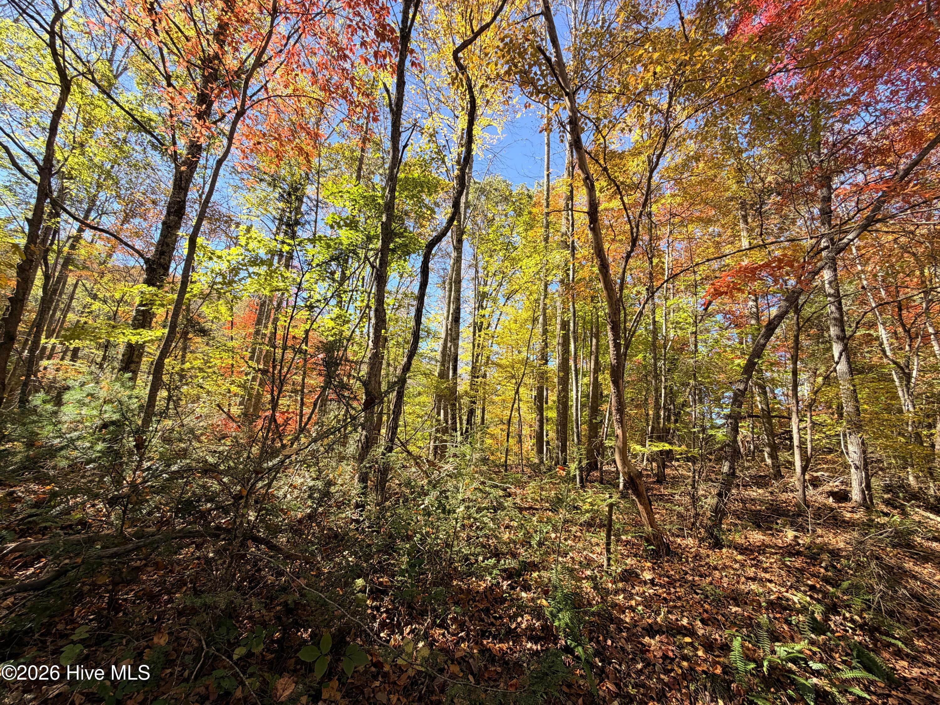 Residential Lot at Lot# 6 Rhododendron Drive Drive, Topton, NC 28781, photo 3 of 4