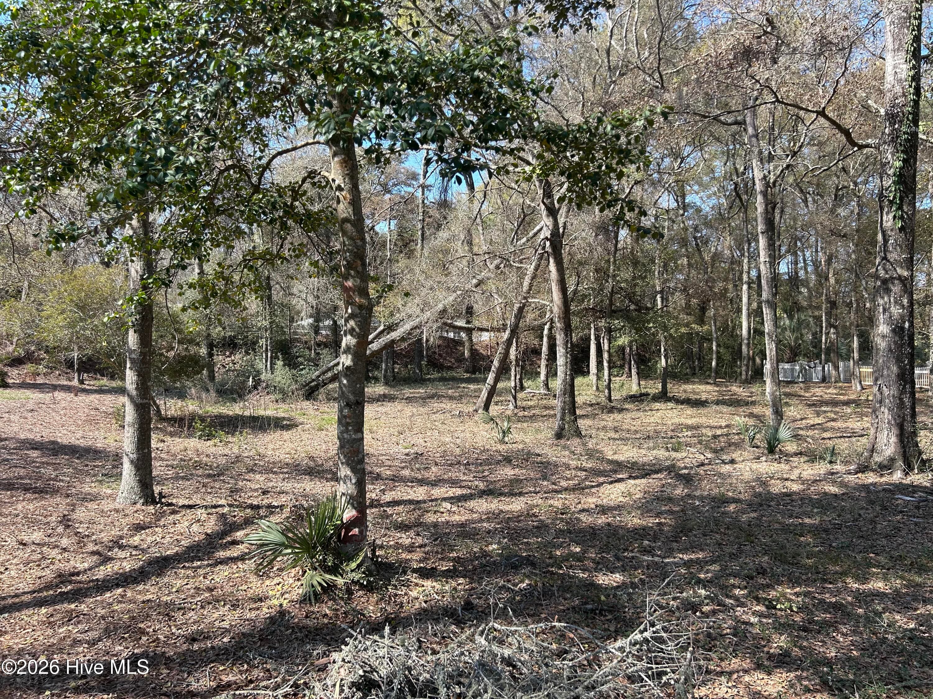 1951 Redfish Run SW, Supply, NC 28462