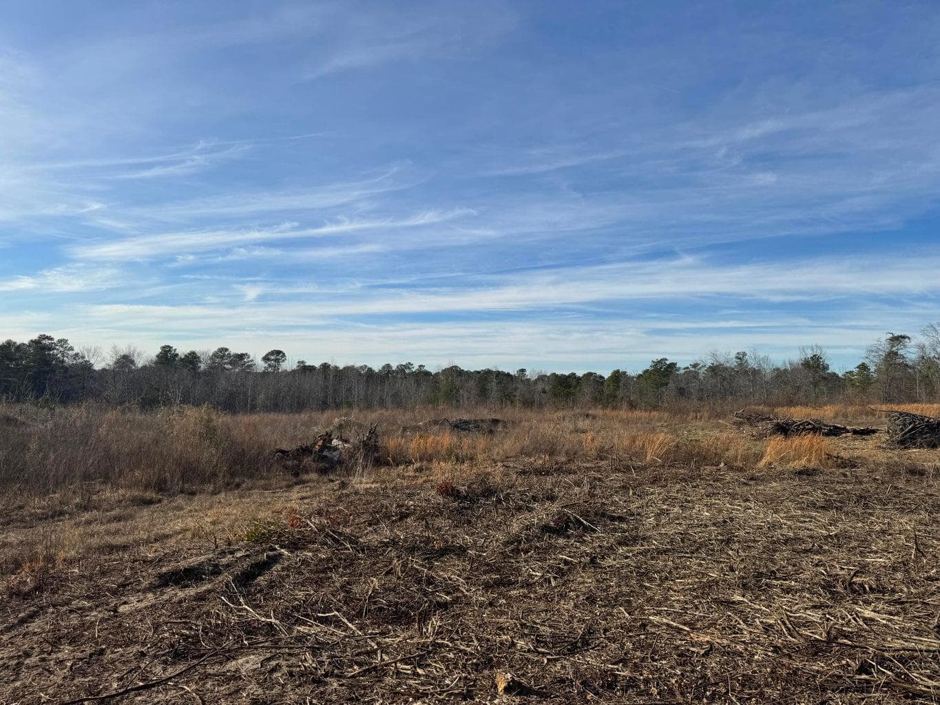 Undeveloped at 450 Bergen Road, North Augusta, SC 29860, photo 4 of 9