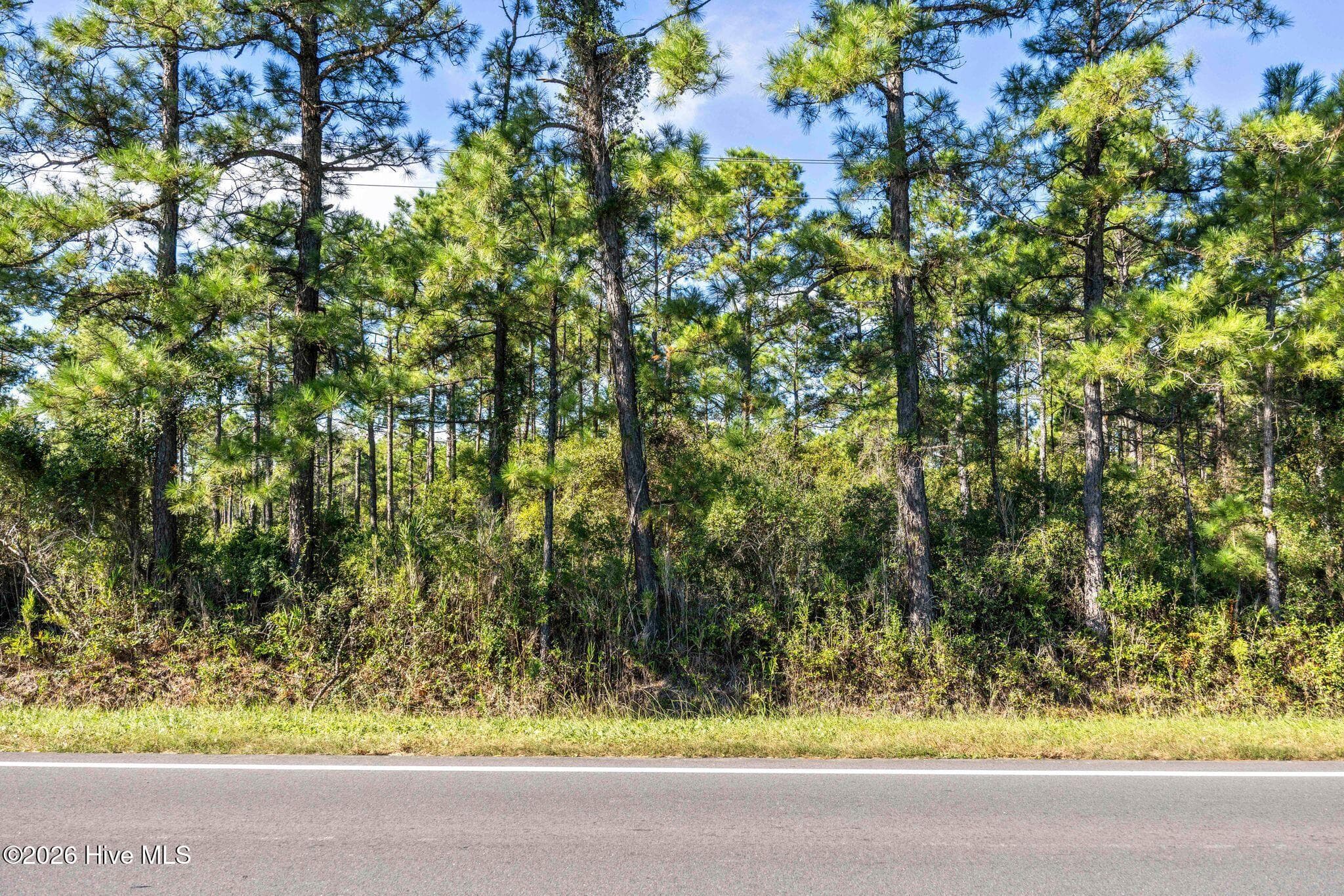 Property is uncleared and wooded - 3760 10 George Ii Highway SE, Southport, NC 28461, Southport