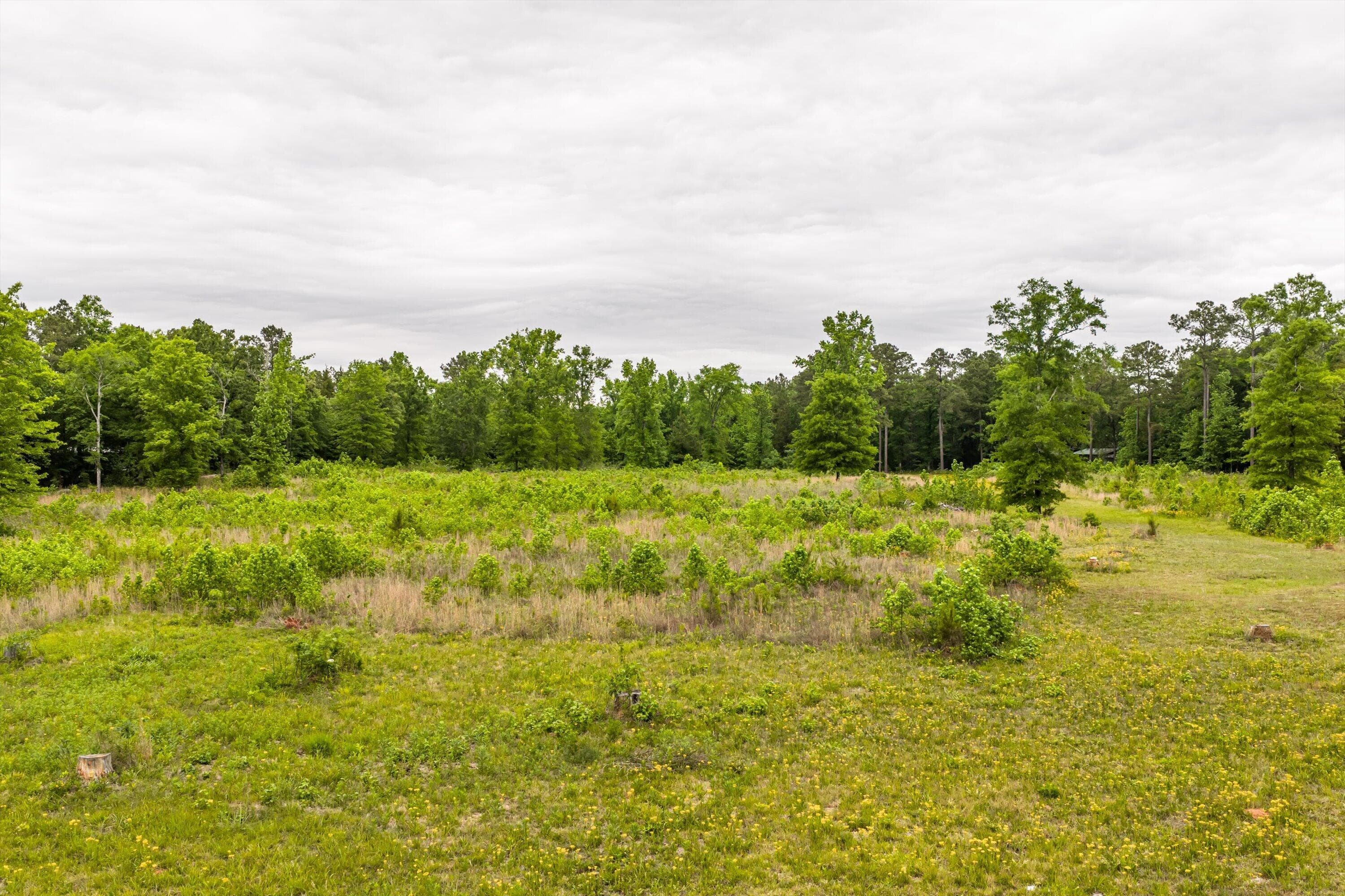 Mixed Use at 3776 Mt Zion Church Road, Lincolnton, GA 30817, photo 4 of 39