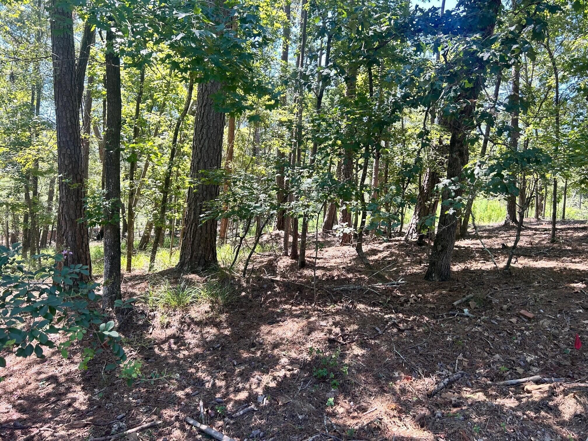 Residential Lot at 1109 Castle Road, Grovetown, GA 30813, photo 3 of 3