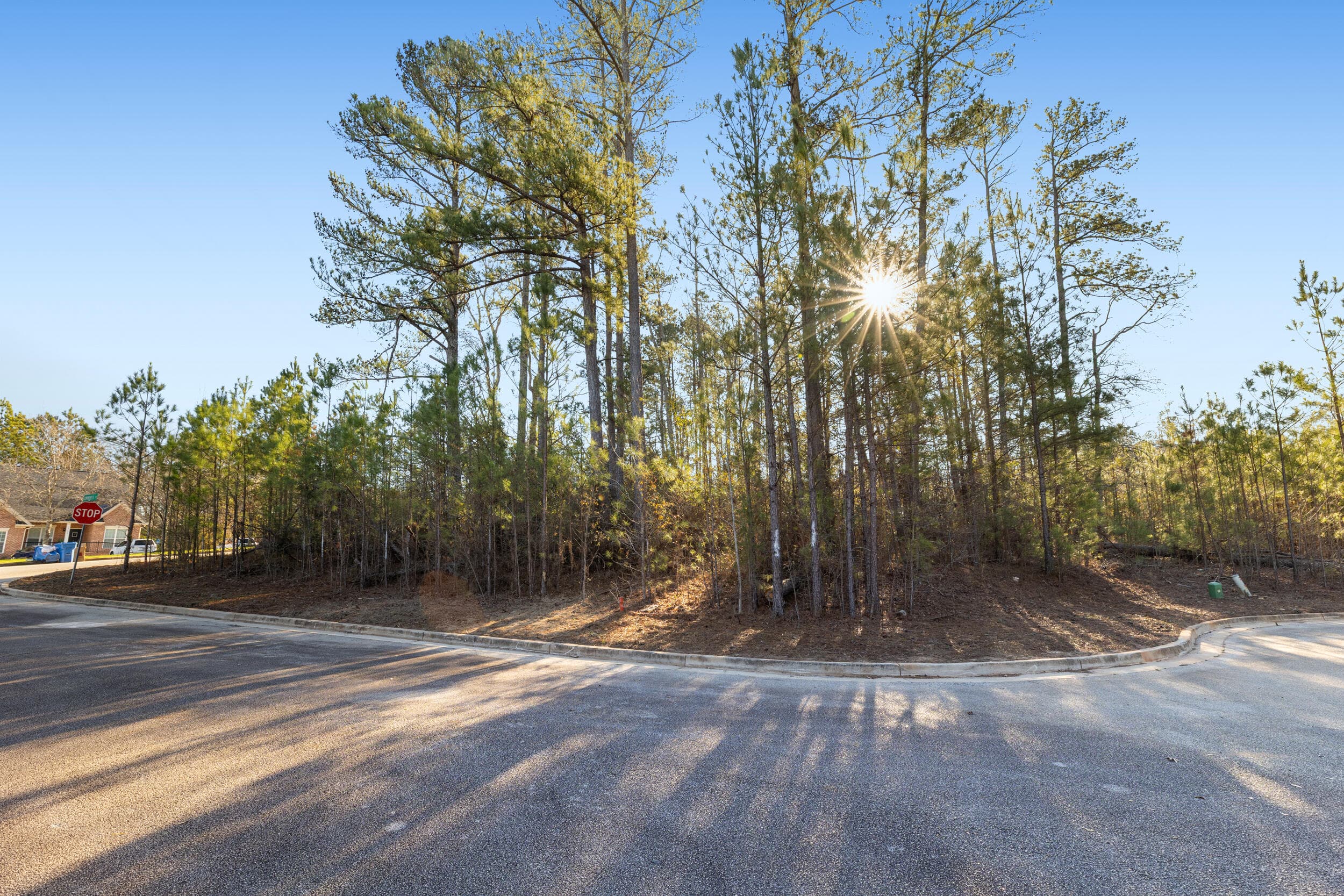 Unimproved Land at 801 Swindell Court, Evans, GA 30809, photo 4 of 10