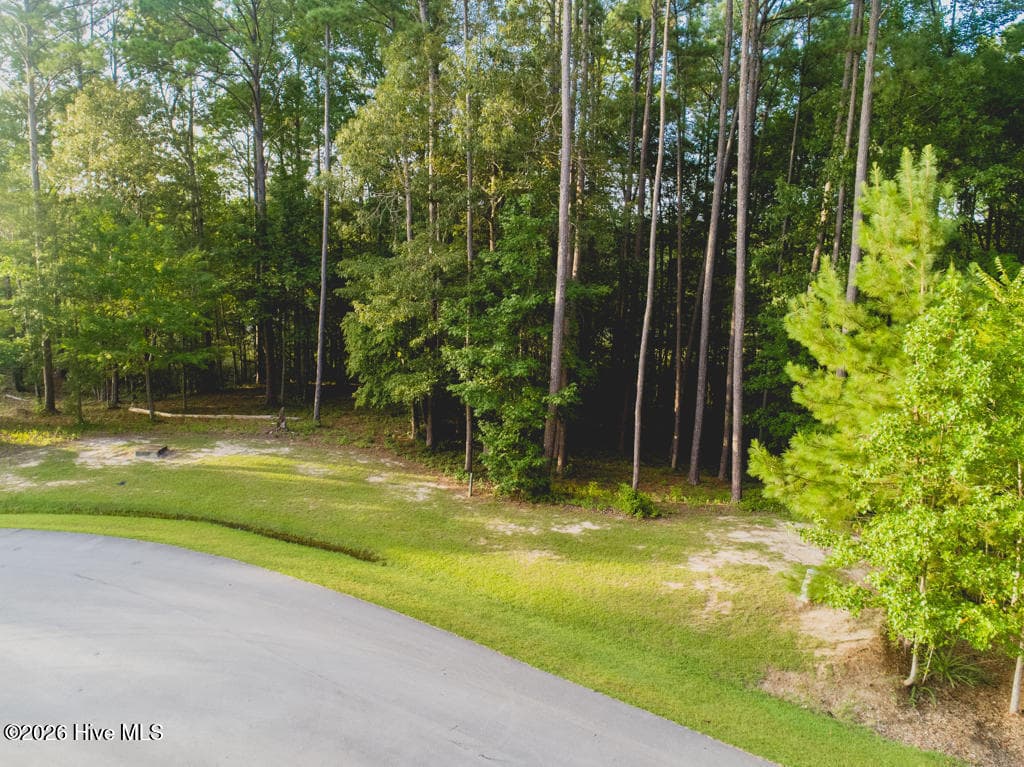 292 203 N Brightleaf Drive, Minnesott Beach, NC 28510