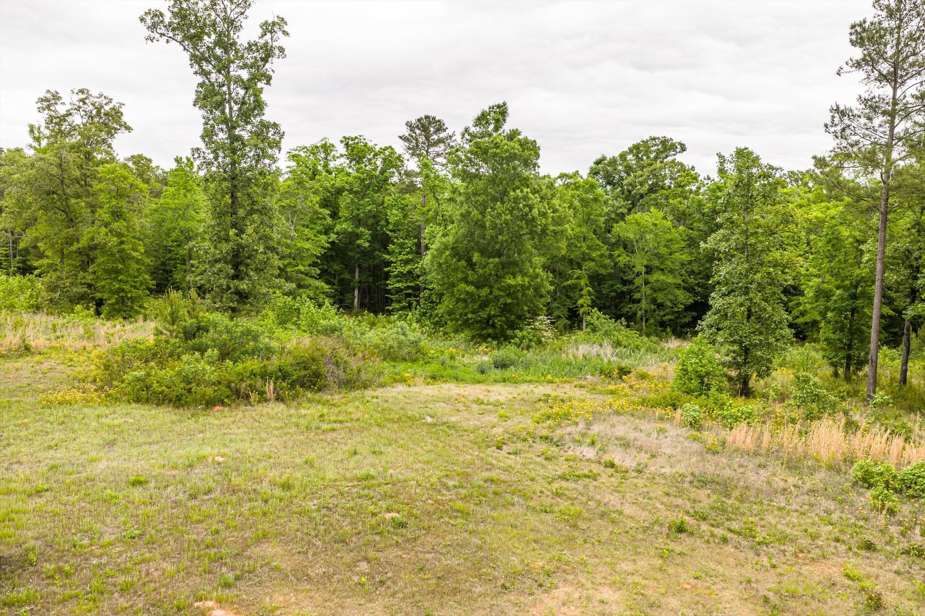 Mixed Use at 3776 Mt Zion Church Road, Lincolnton, GA 30817, photo 8 of 39