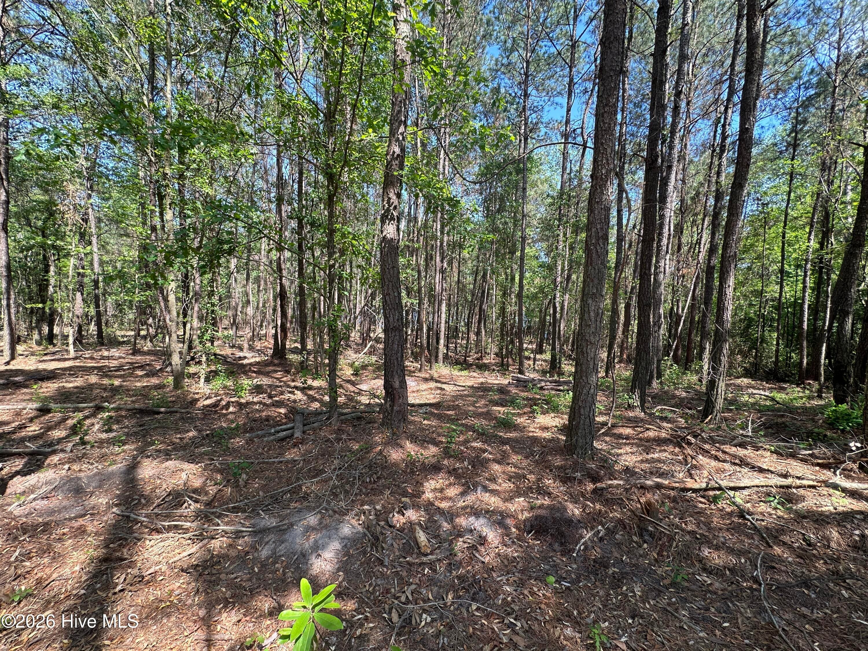 Residential Lot at 28 28 Hillside Lane, Clinton, NC 28328, photo 2 of 5