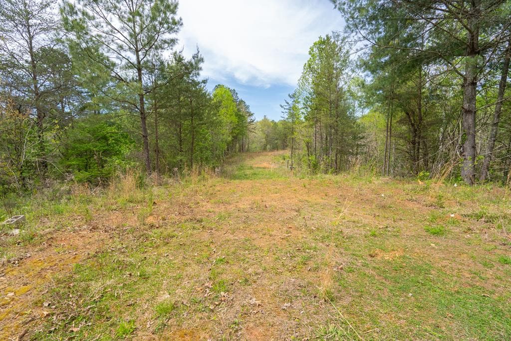 Wooded at 125 Milk And Honey Drive, Murphy, NC 28902, photo 22 of 23