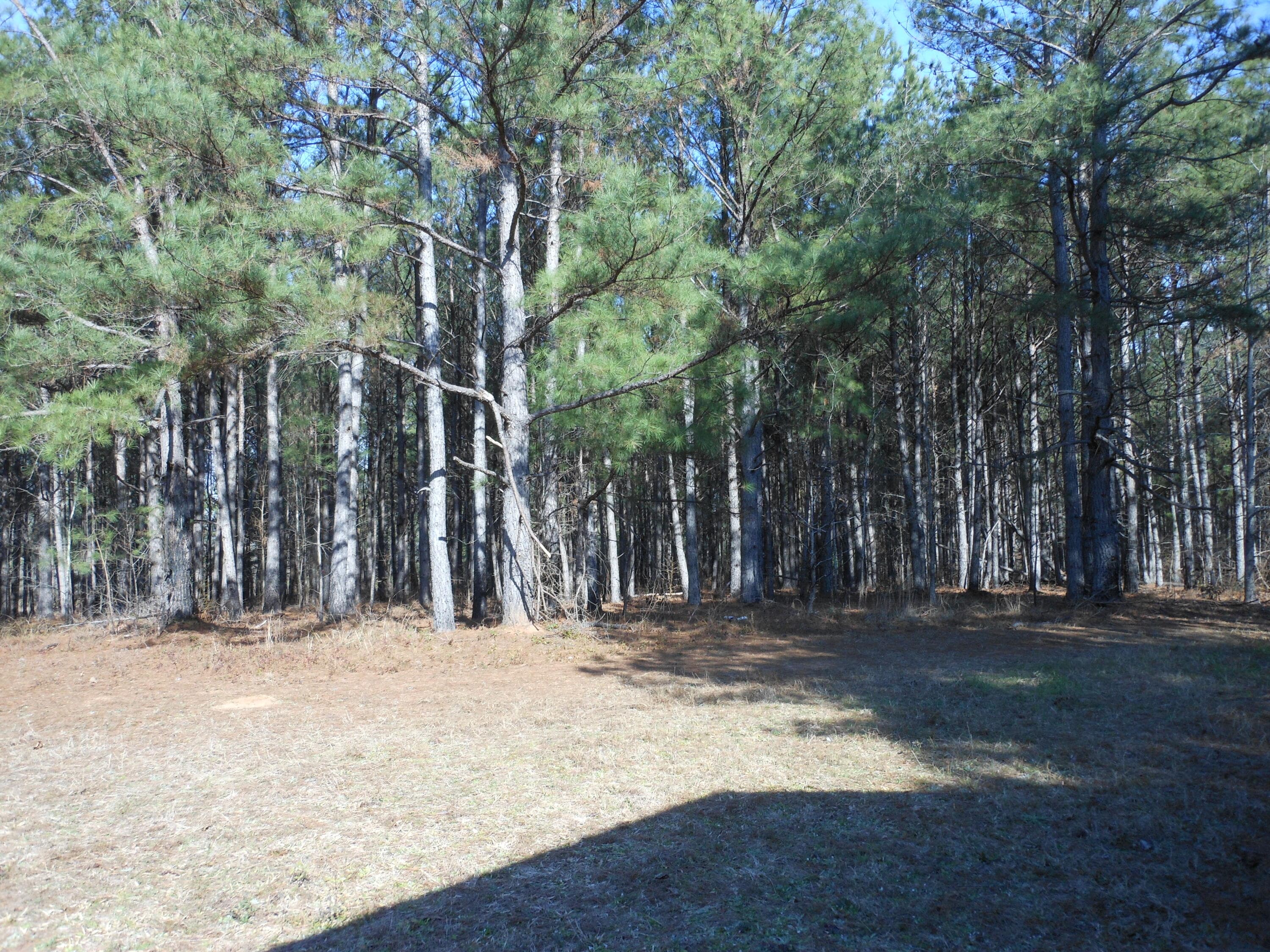 Undeveloped at 0 Ponderosa Road, Waynesboro, GA 30830, photo 40 of 45