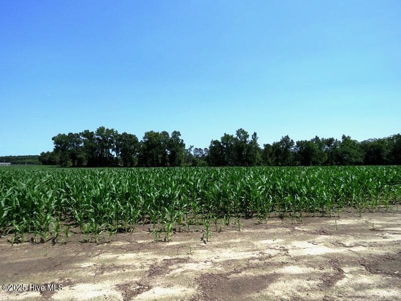 Agriculture at Tbd Highway 71, Red Springs, NC 28377, photo 12 of 17