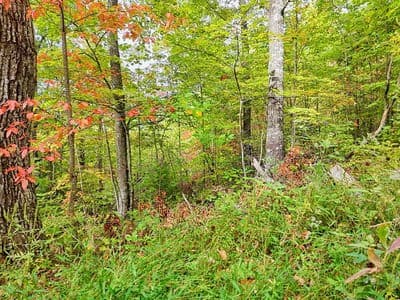 Residential Lot at Lot 23 23 Skyview, Hayesville, NC 28904, Hayesville, photo 5 of 10