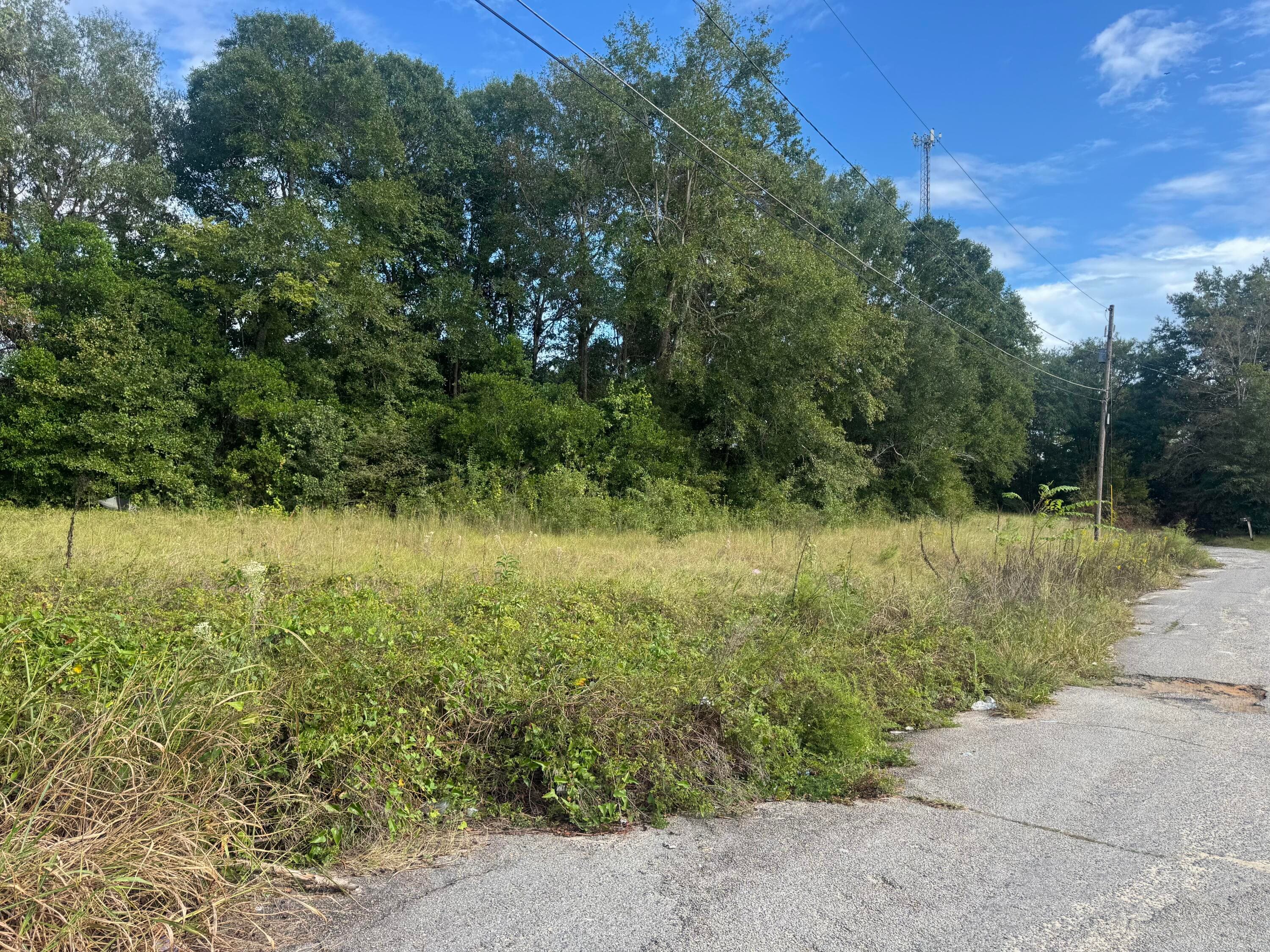 0 Railroad Avenue, Waynesboro, GA 30830