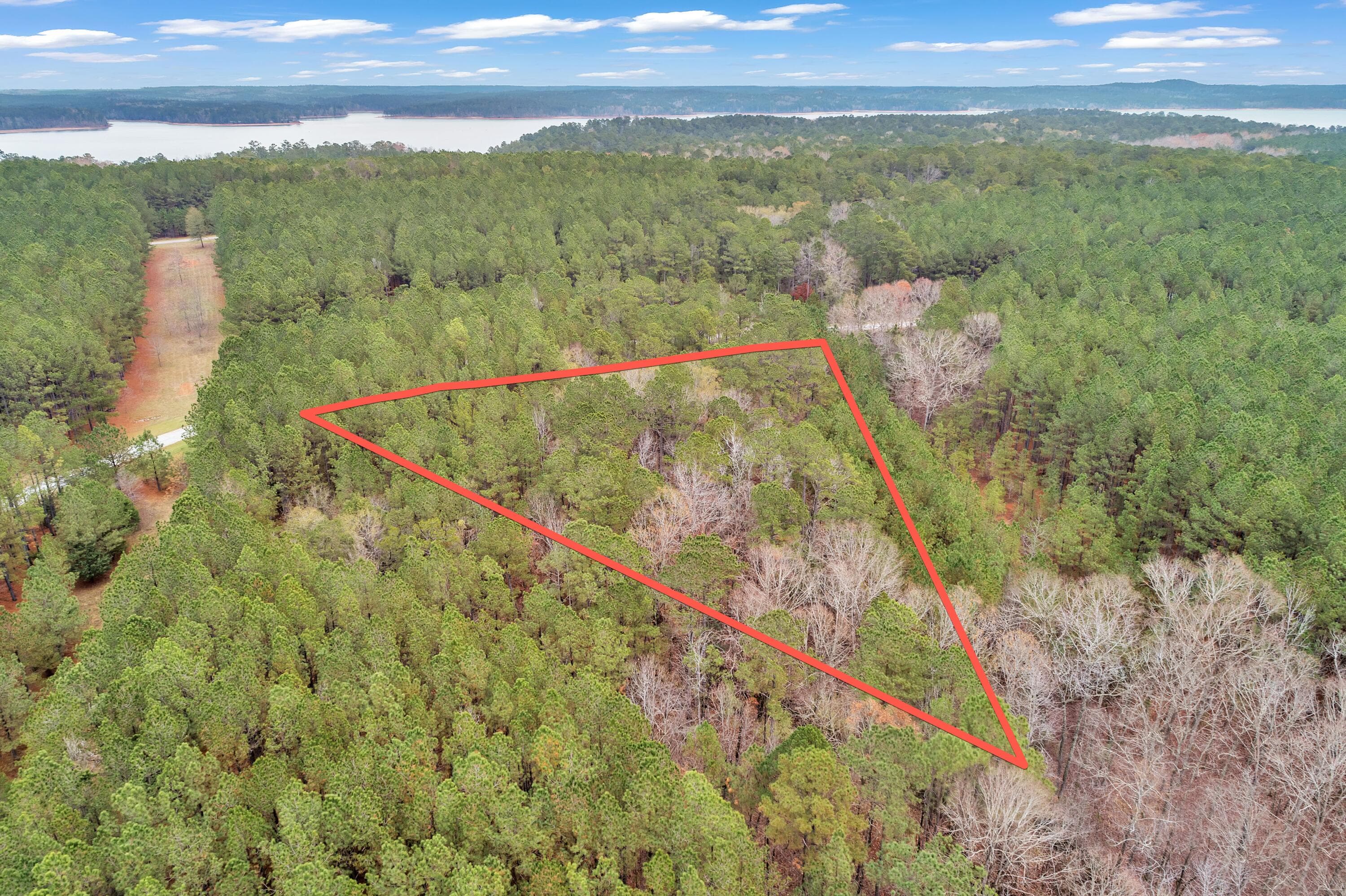 Residential Lot at 1252 294 Rogers Road, Tignall, GA 30668, photo 15 of 29