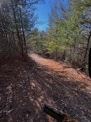 Land at Lot 16 Paradise, Marble, NC 28905, photo 4 of 8