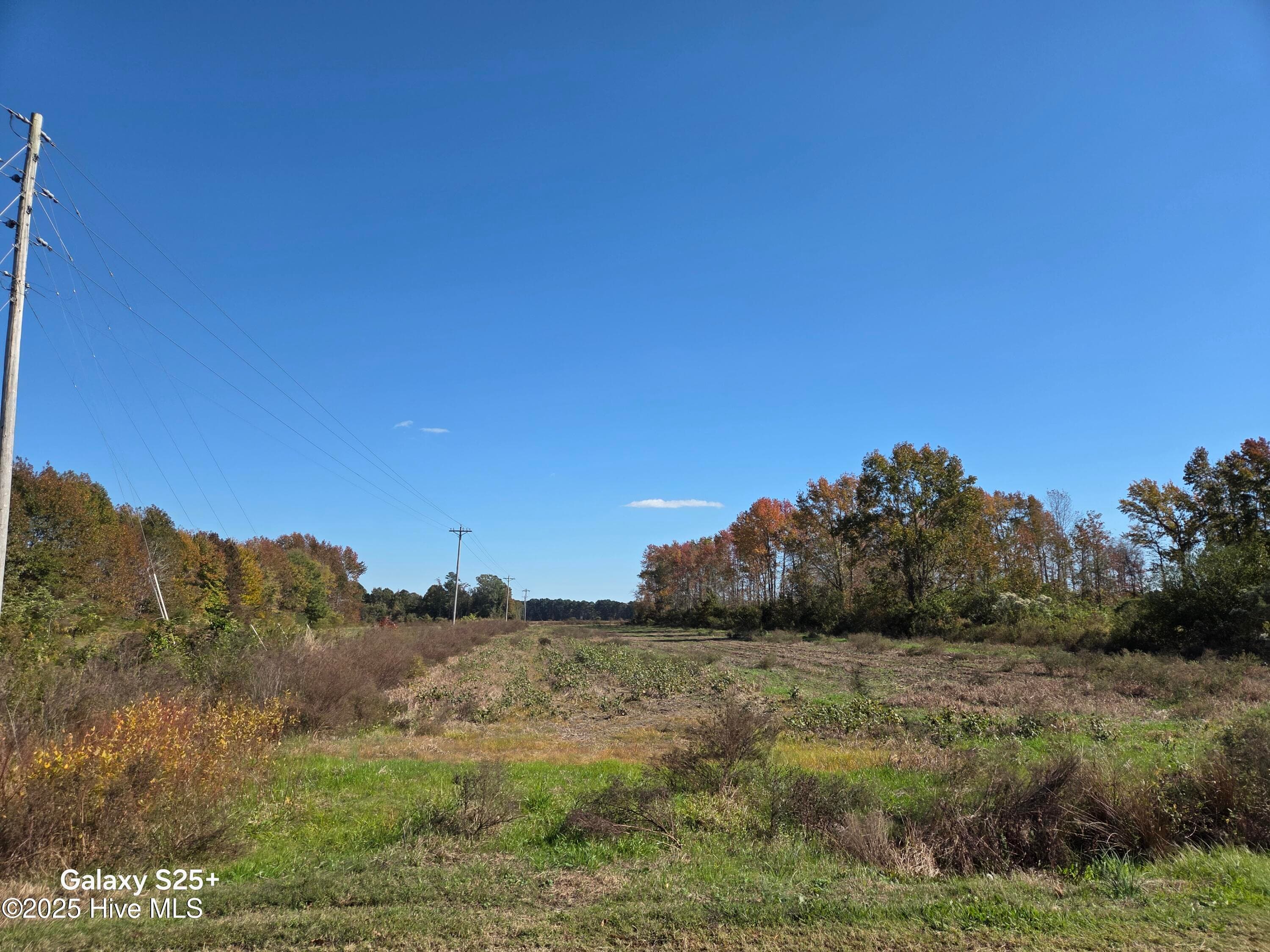 Residential Lot at 204 4 Whitemon Lane, Edenton, NC 27932, photo 8 of 14