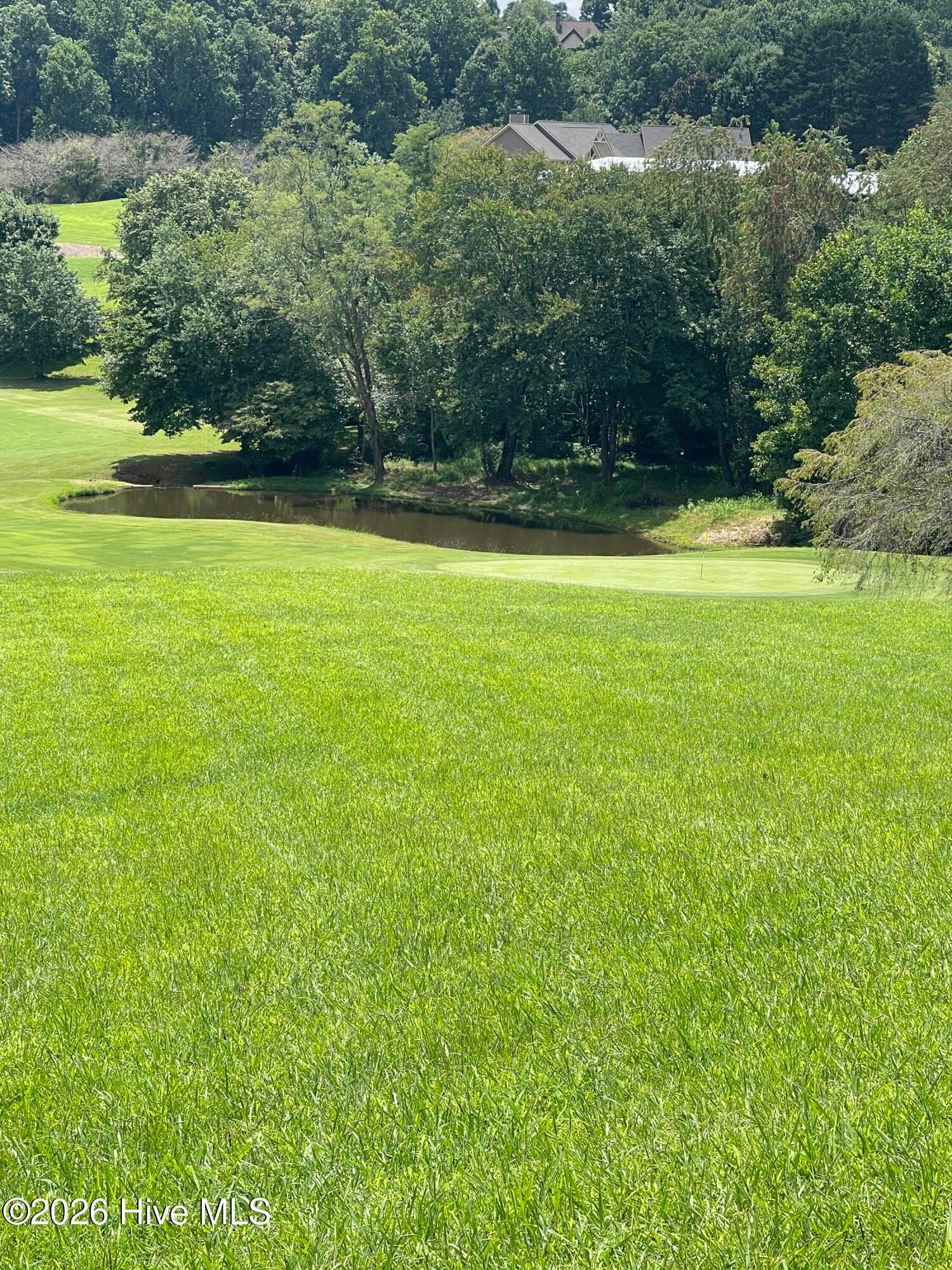 Residential Lot at 2k Mountain Harbour Drive, Hayesville, NC 28904, Hayesville, photo 4 of 8