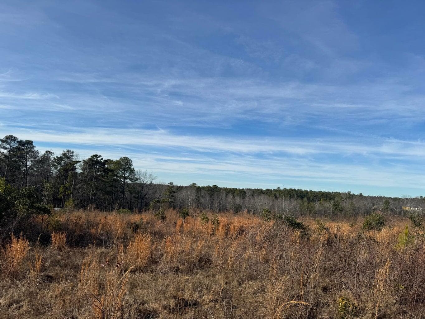 Undeveloped at 450 Bergen Road, North Augusta, SC 29860, photo 7 of 9