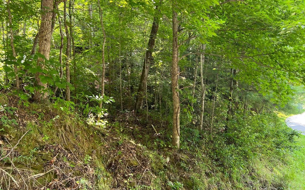 Land at Lot 77 77 Fires Creek Cove, Hayesville, NC 28904, Hayesville, photo 14 of 19