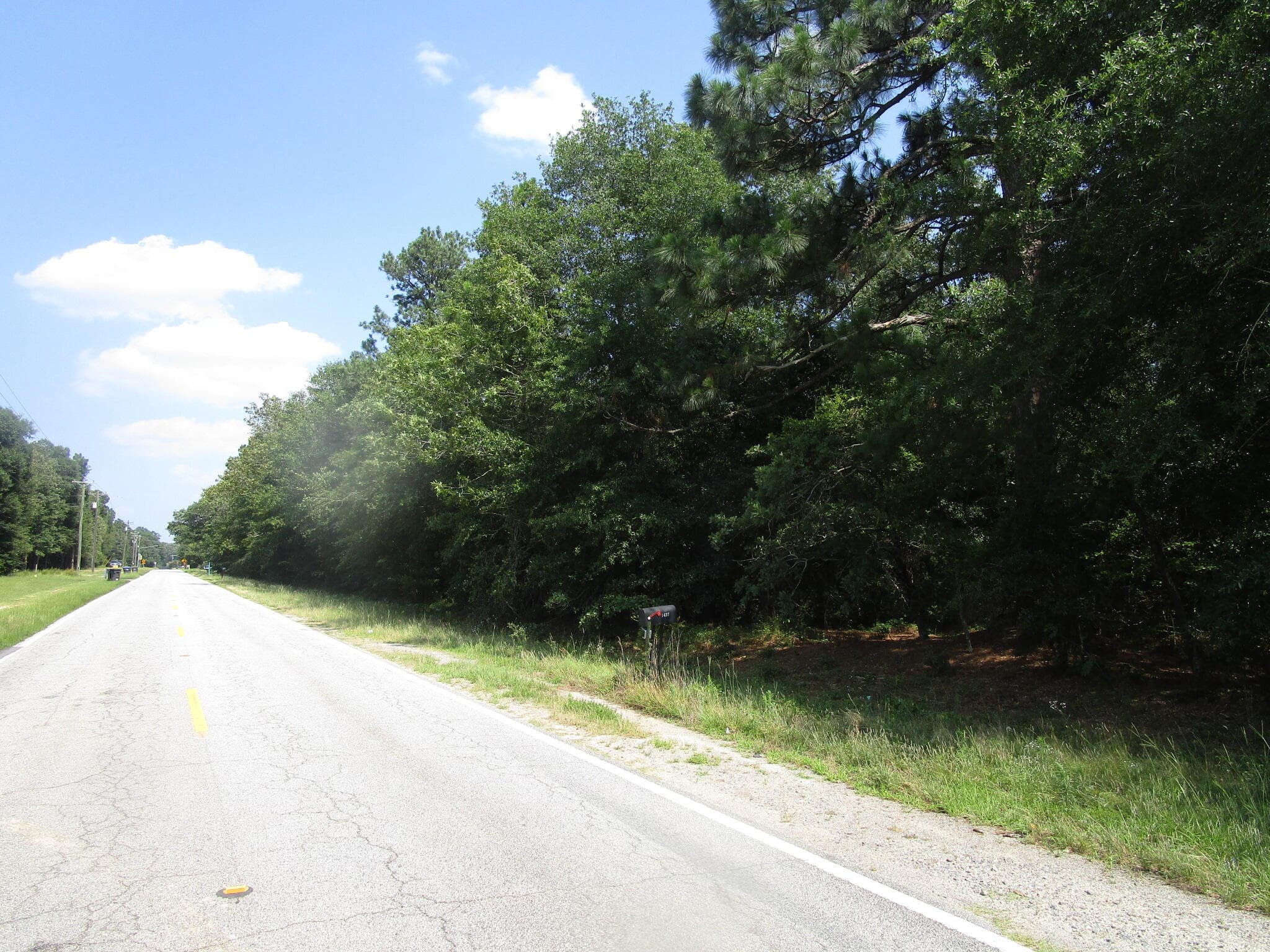 STREET - 1436 Hephzibah Mcbean Road, Hephzibah, GA 30815