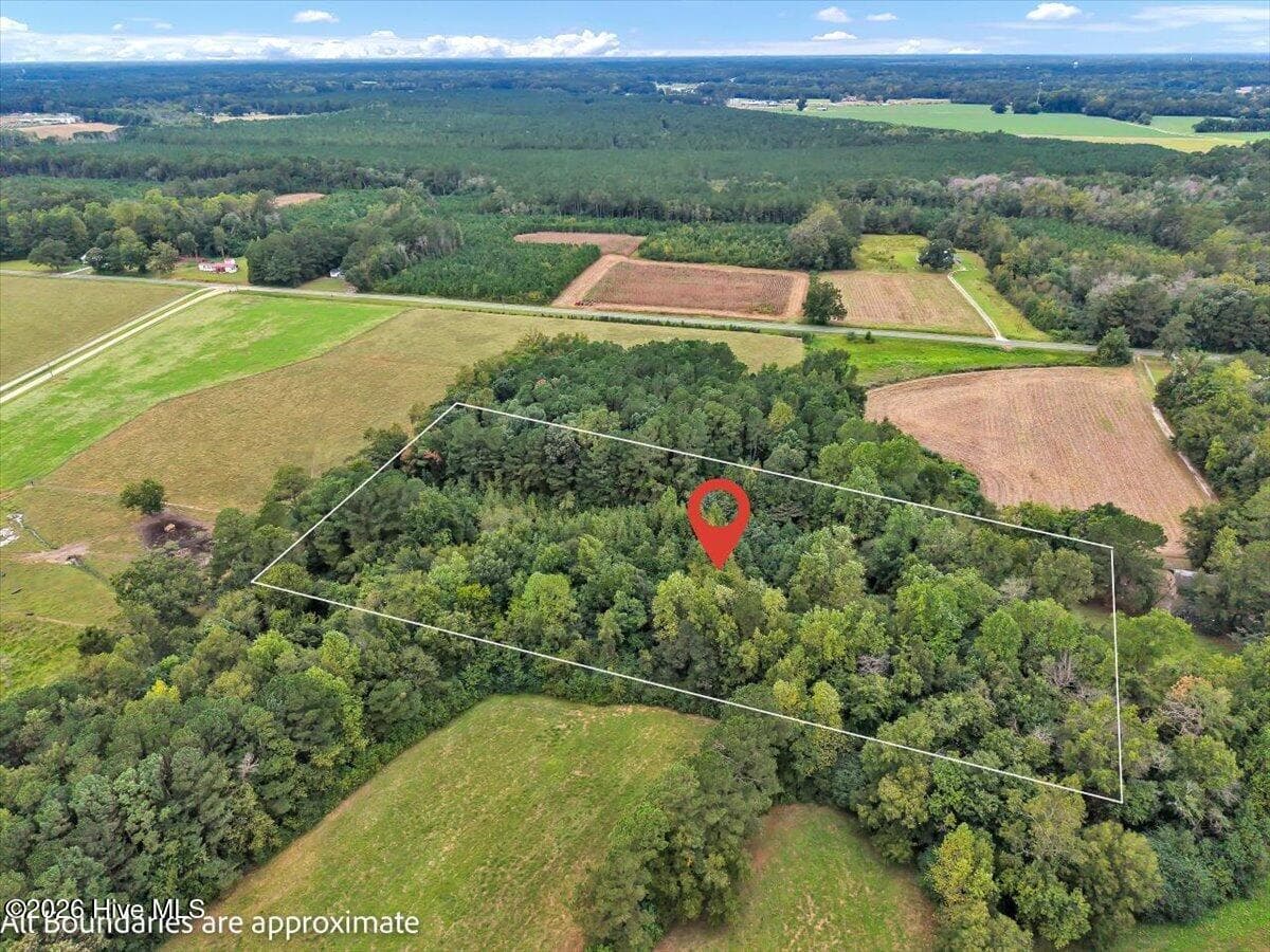 Undeveloped at 0 Dewitt Gooden Road, Elizabethtown, NC 28337, photo 4 of 8
