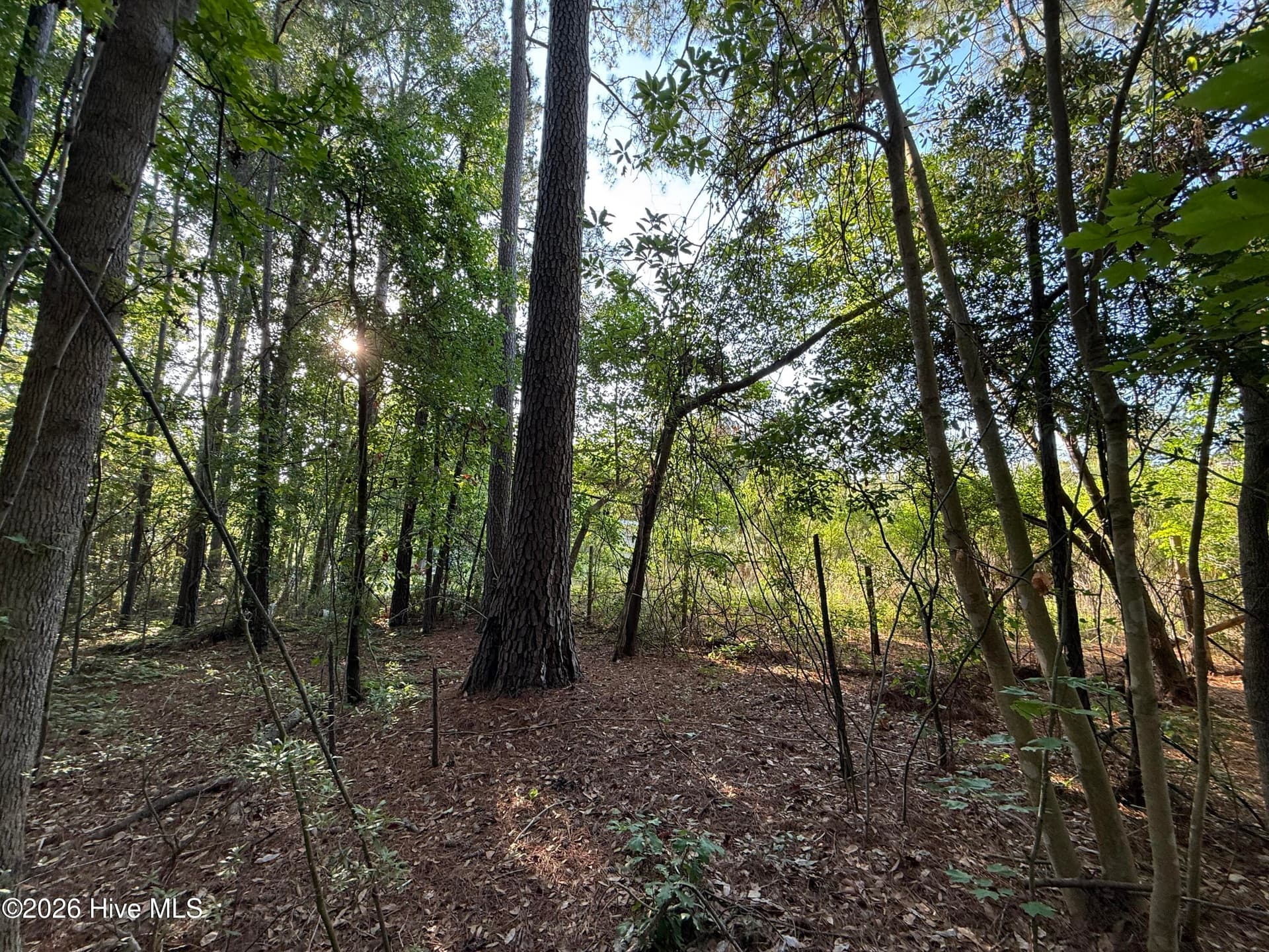 Residential Lot at 470 Acres Lane NW, Calabash, NC 28467, photo 15 of 19