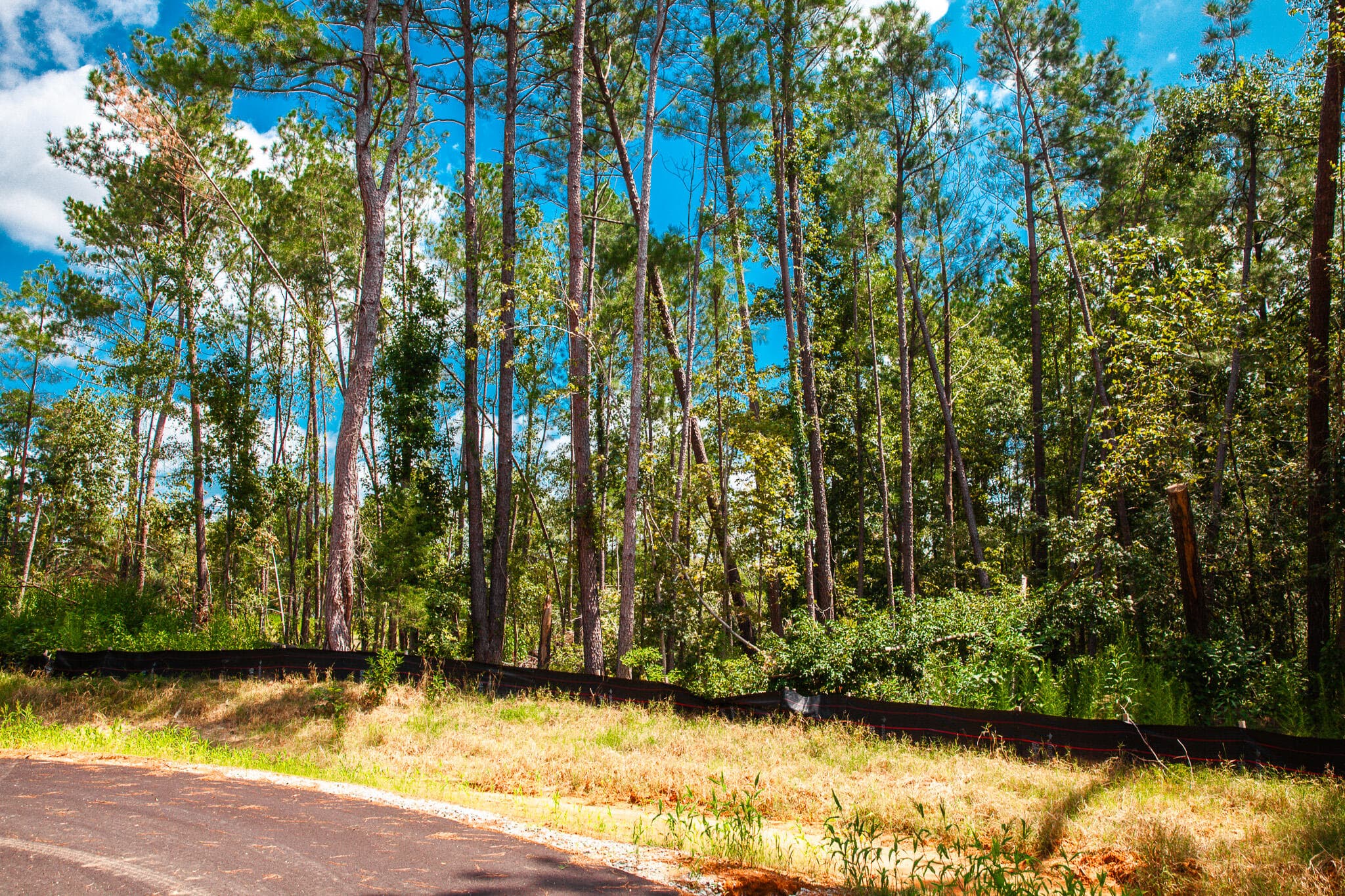 Undeveloped at Lot 16 Leyland Court, Clarks Hill, SC 29821, photo 2 of 8