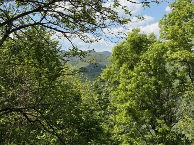 Residential Lot at Lot 43 43 Silo View, Marble, NC 28905, photo 7 of 11