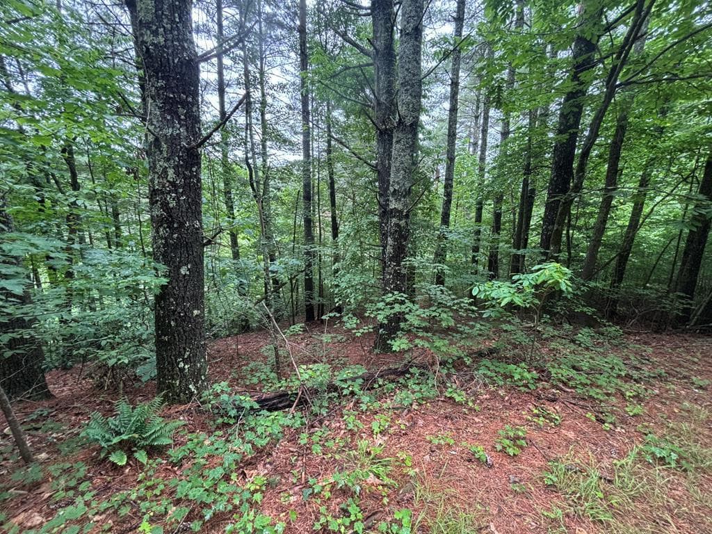 Land at Lot 11 Horse Camp Drive, Hayesville, NC 28904, Hayesville, photo 8 of 11