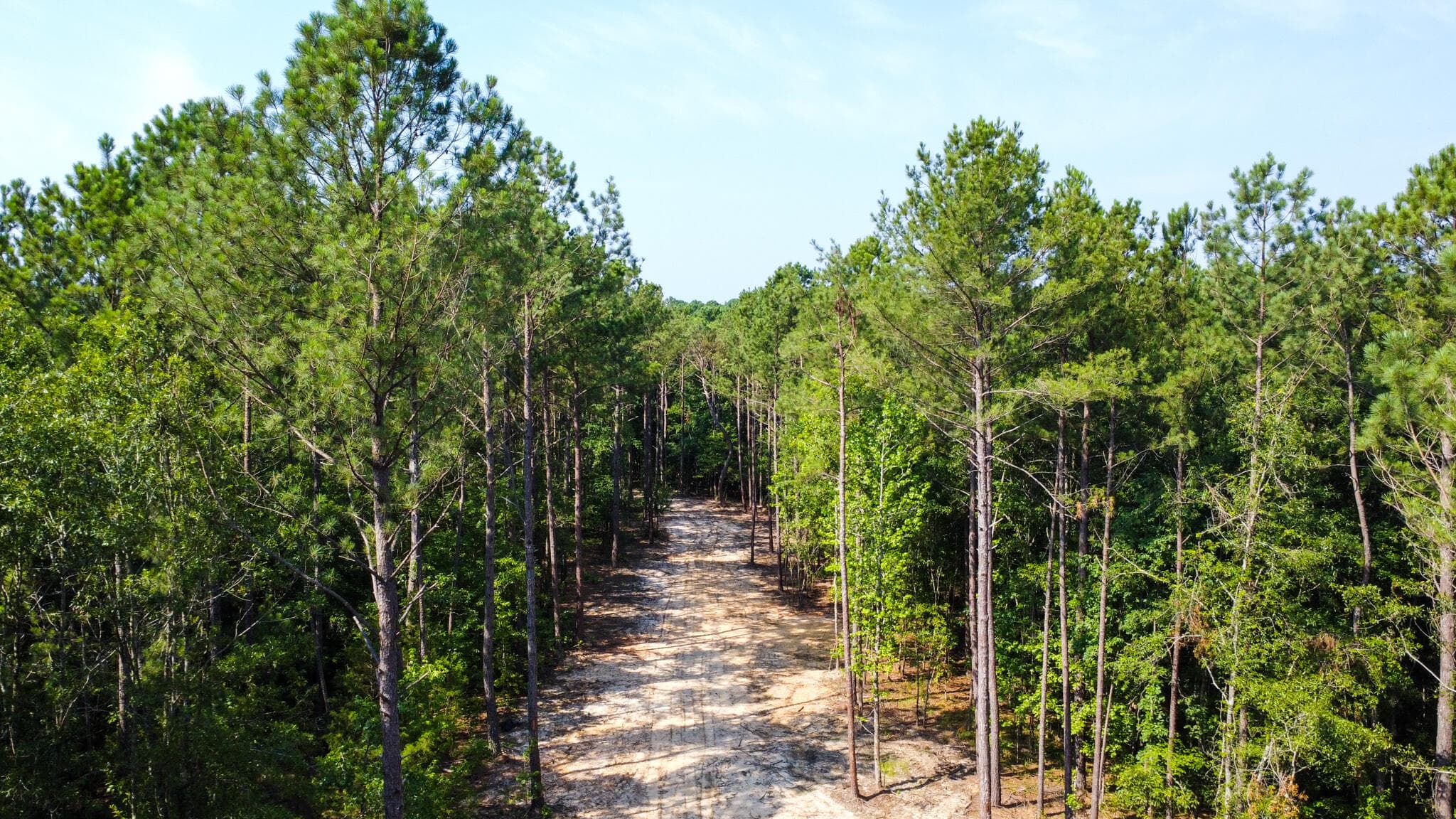 Undeveloped at 0 Backway Road, Lincolnton, GA 30817, photo 22 of 48