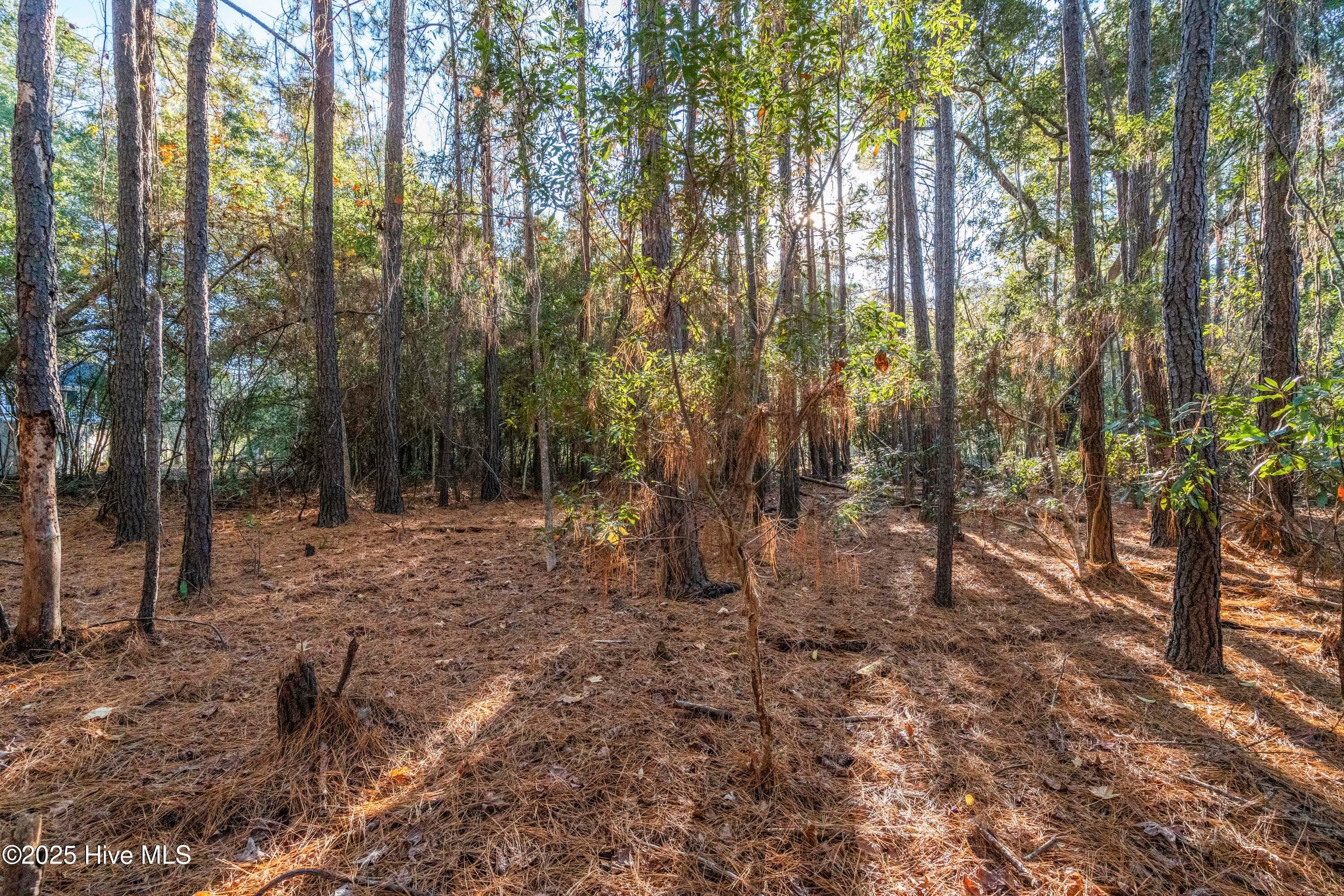 Residential Lot at 1984 293R Redfish Run SW, Supply, NC 28462, photo 14 of 34