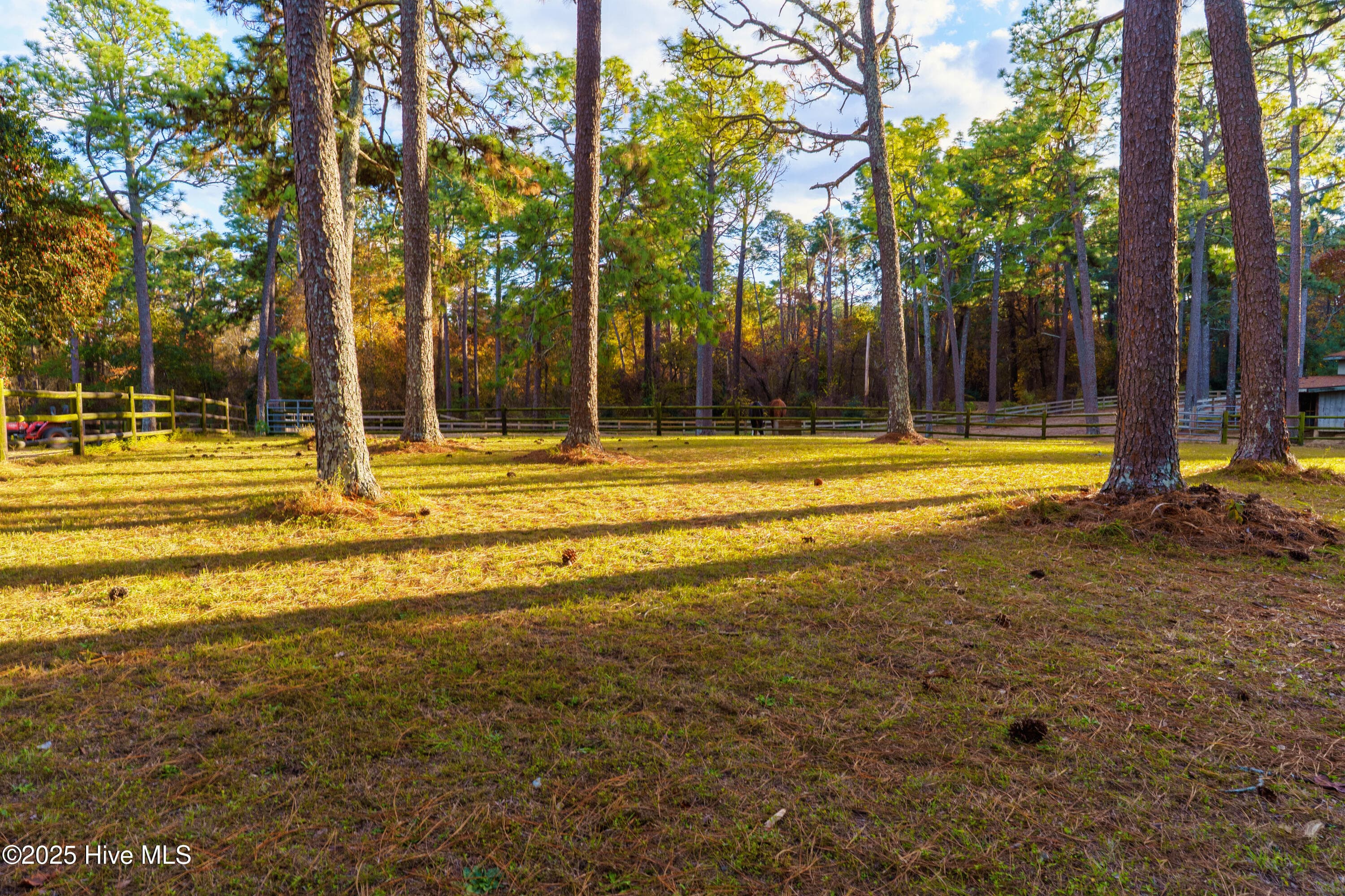Single Family Residence at 292 Bump A Long Lane, Southern Pines, NC 28387, photo 28 of 82