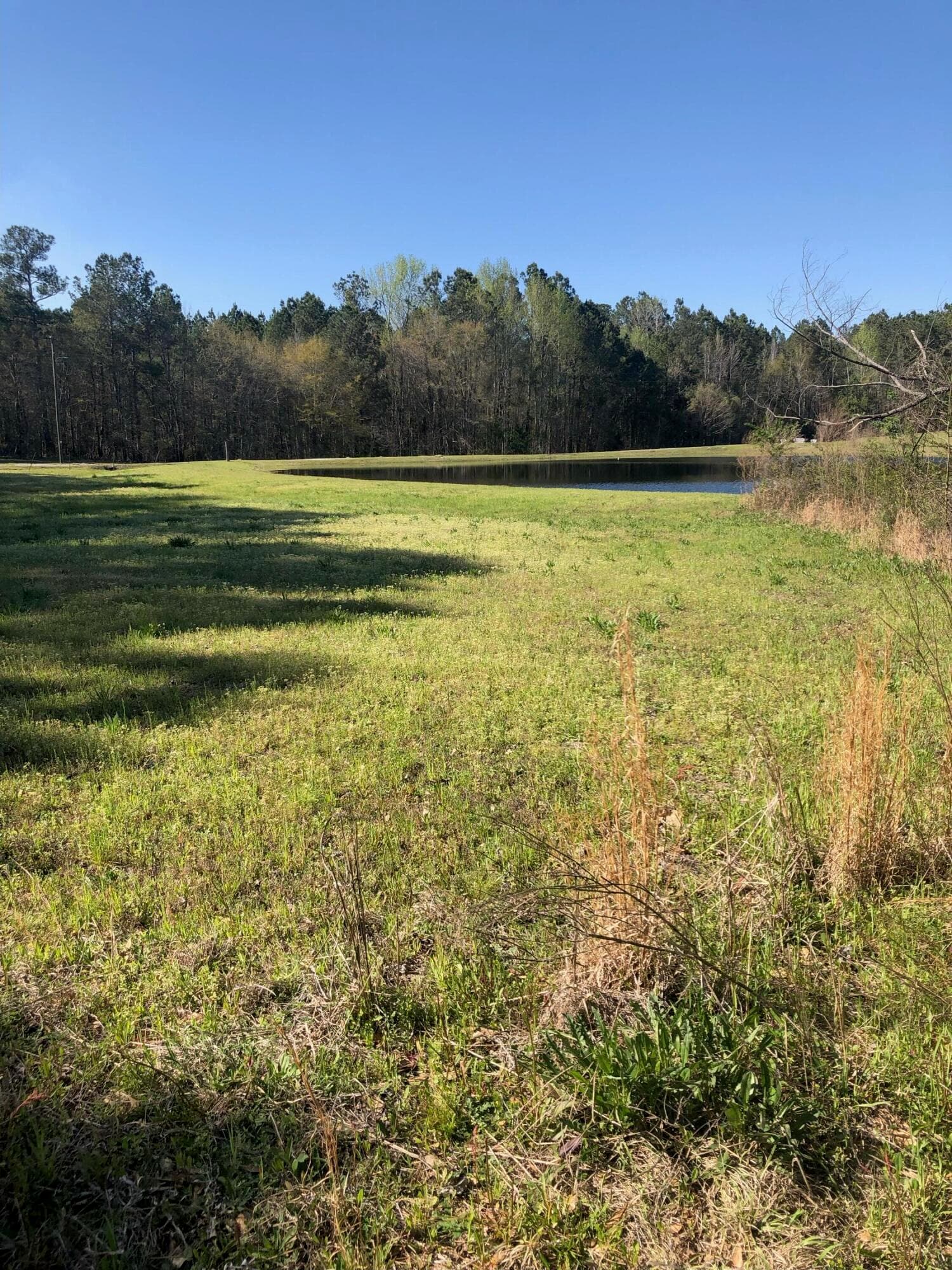 overlooking neighbor's pond - 4.17 Acres Starr Hinson Road, Thomson, GA 30824
