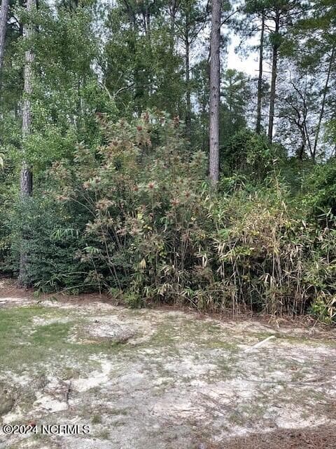 Street View - 5 62 Raintree Court, Pinehurst, NC 28374