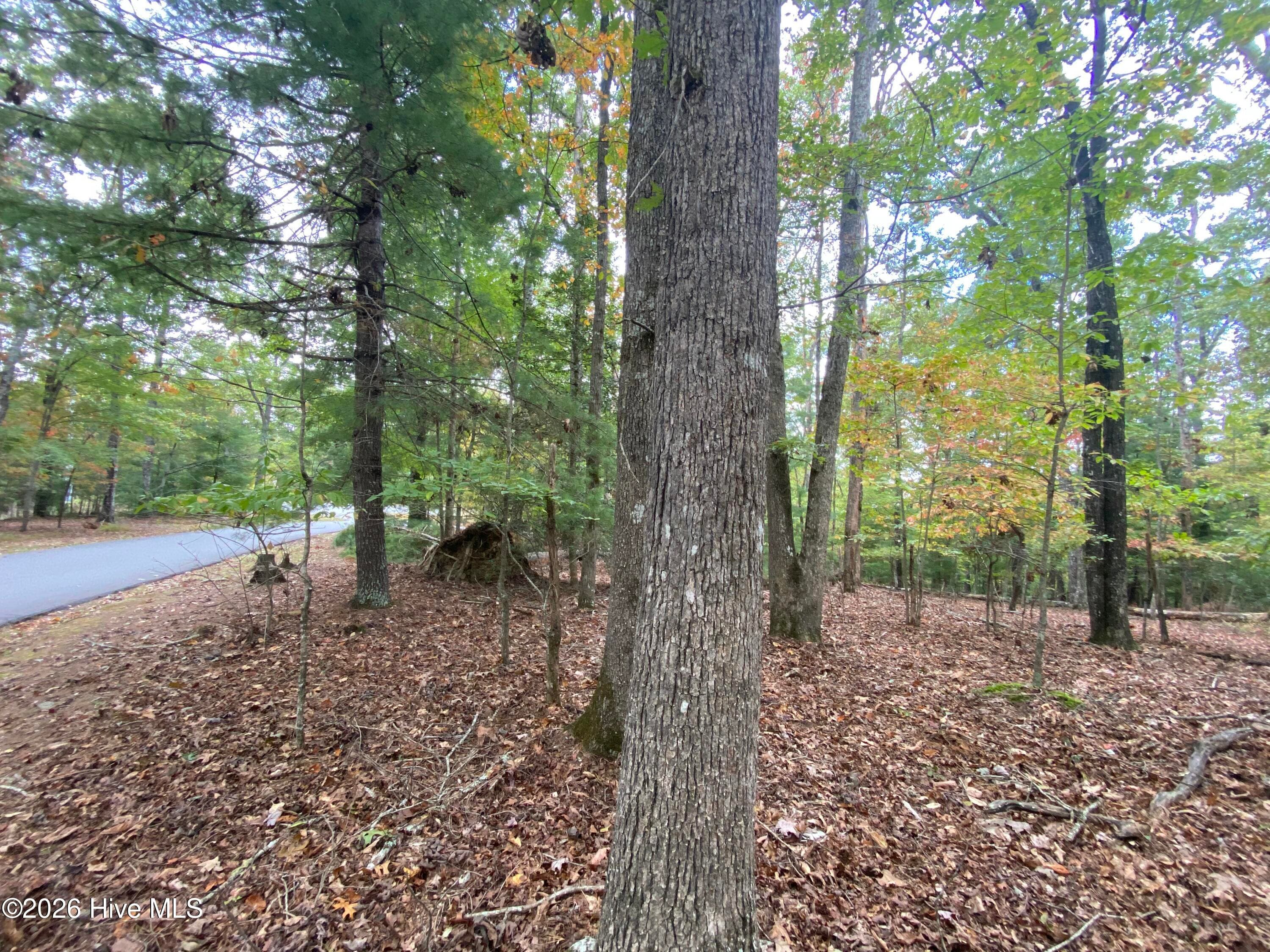 Wooded at 14 14 Mission Ridge, Hayesville, NC 28904, Hayesville, photo 10 of 14