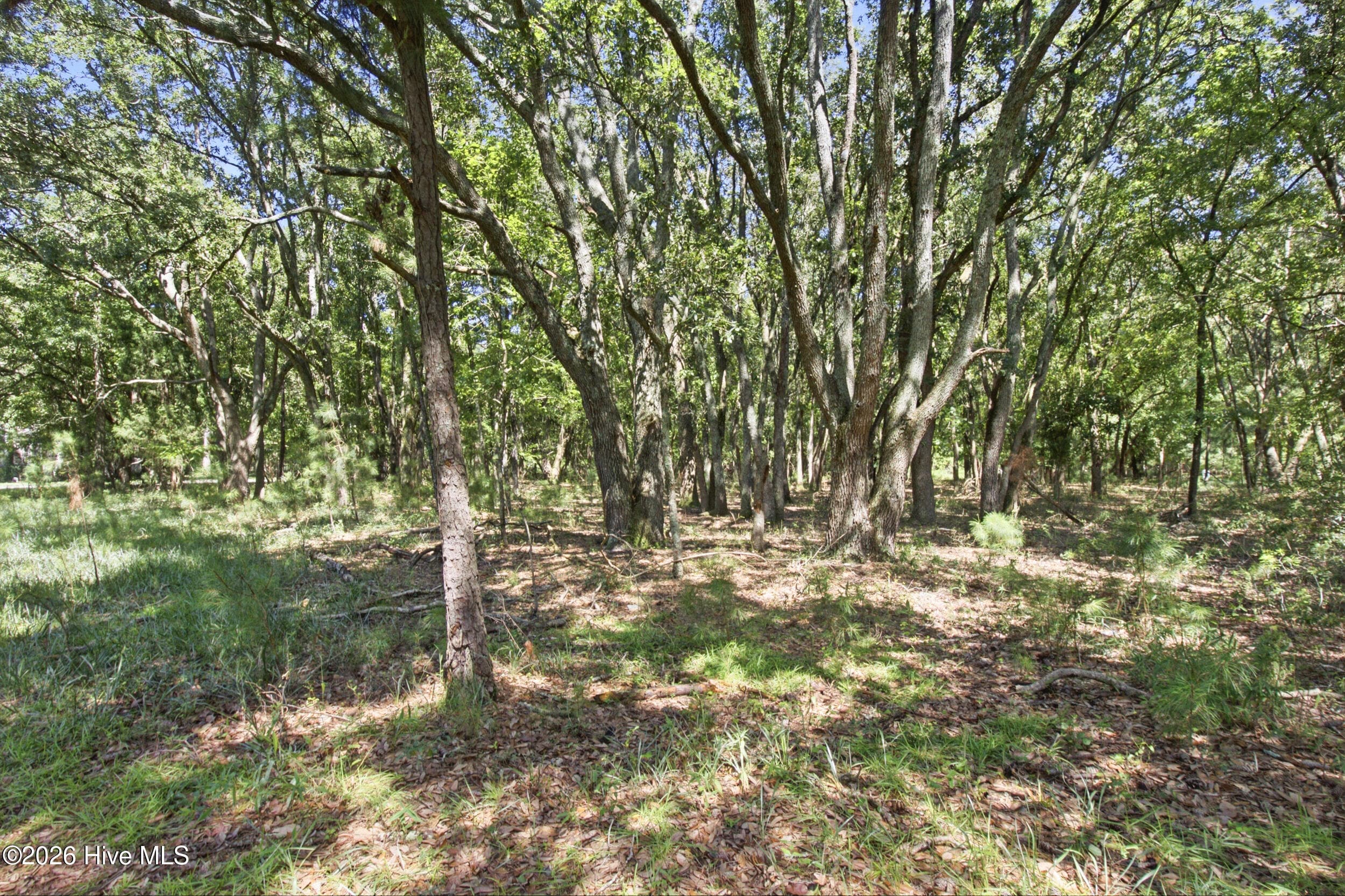 Back - 1207 Barkentine Drive, New Bern, NC 28560