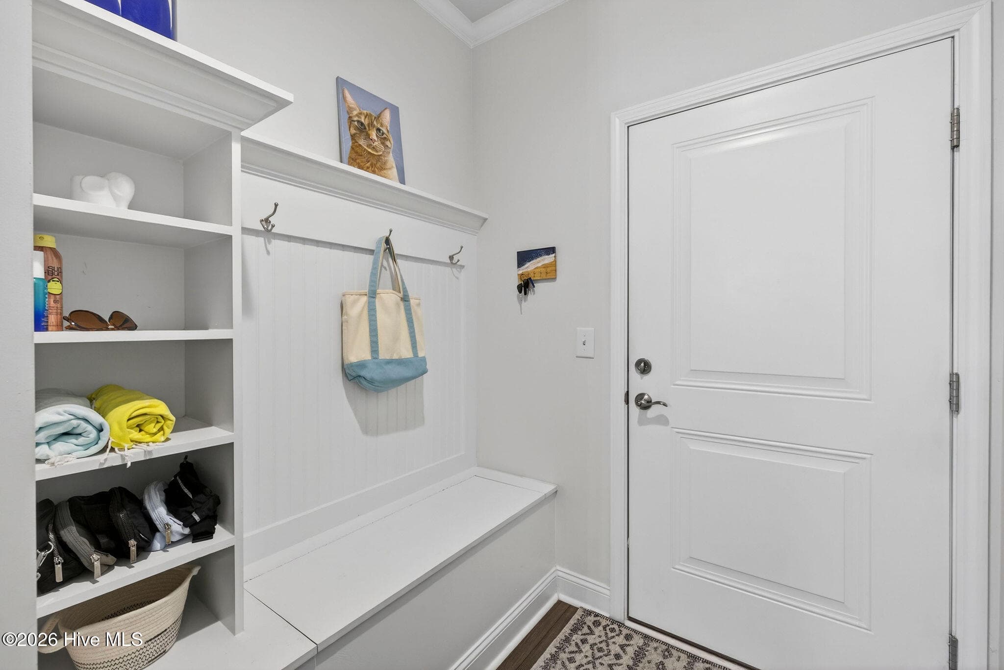 Drop zone/mud room - 858 Broomsedge Terrace, Wilmington, NC 28412