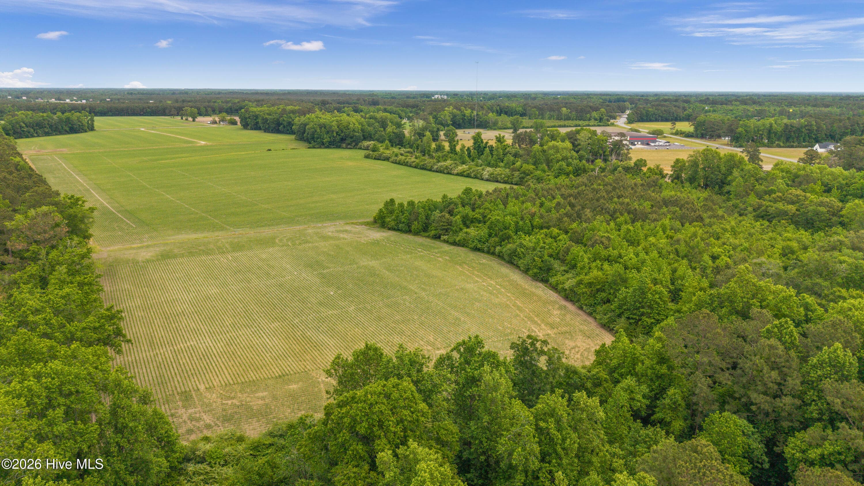 34.4 Acres High School Road, Teachey, NC 28464