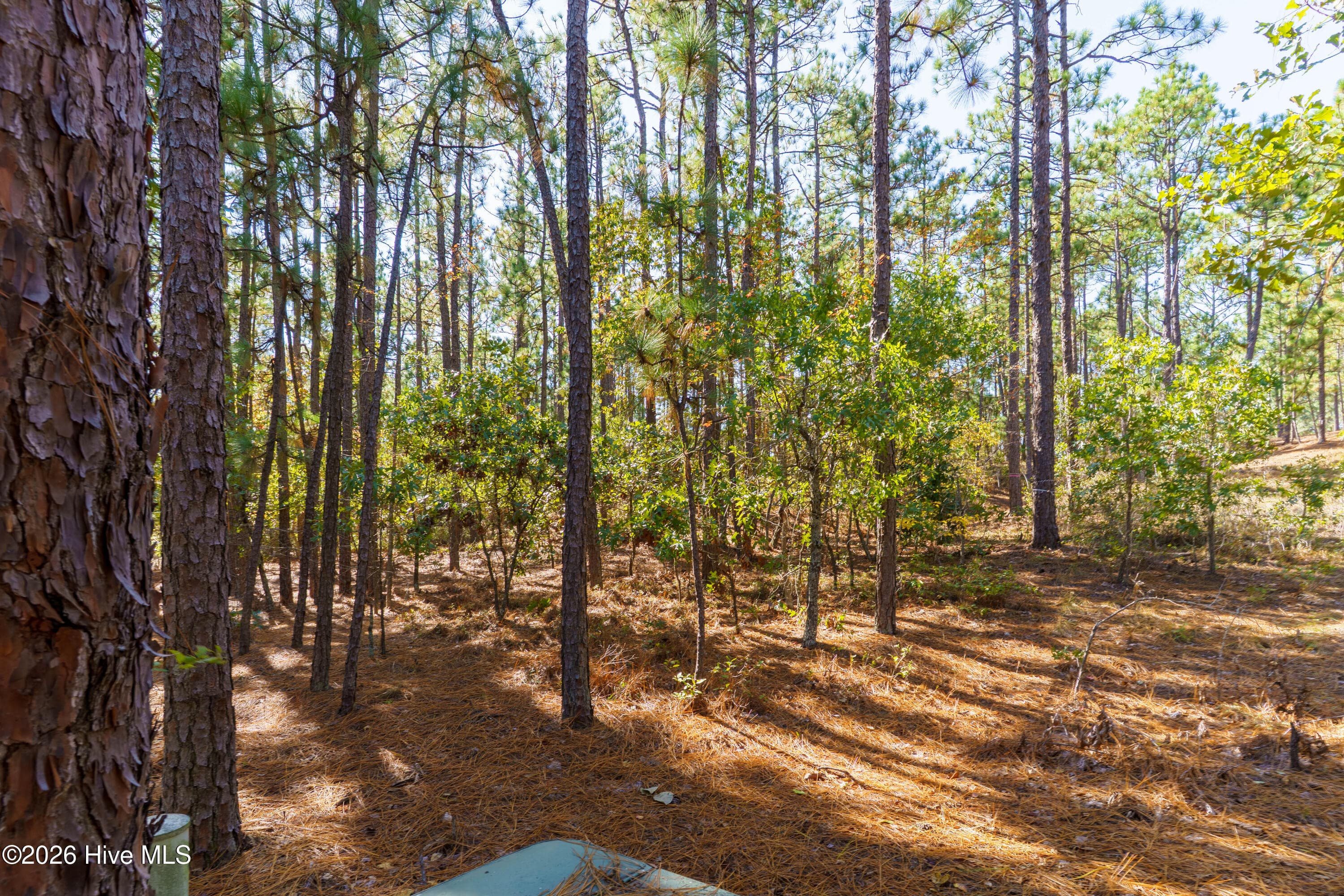 Residential Lot at 134 Vanore Road, West End, NC 27376, photo 4 of 4