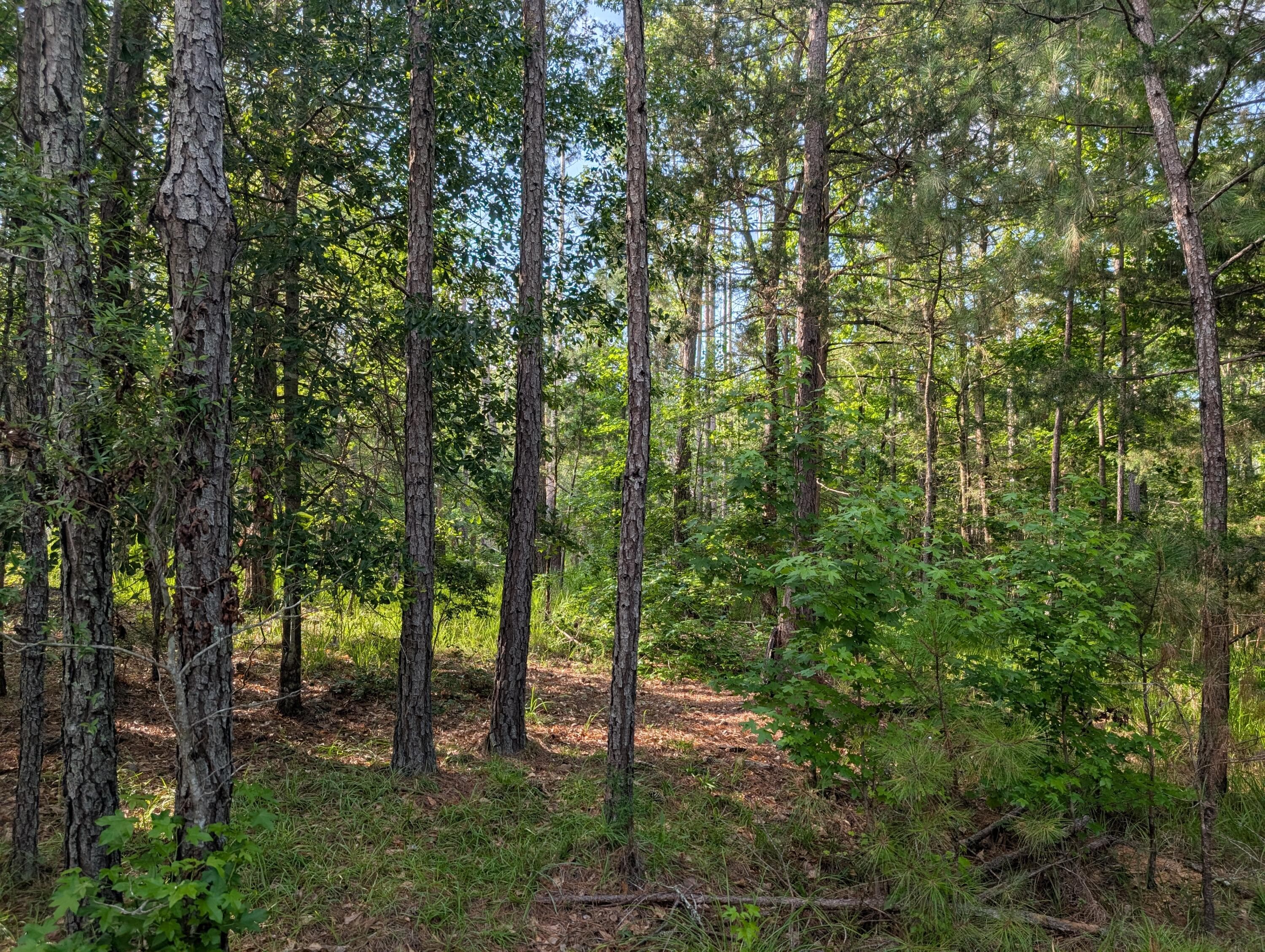 3079 3 Marshall Road, Appling, GA 30802