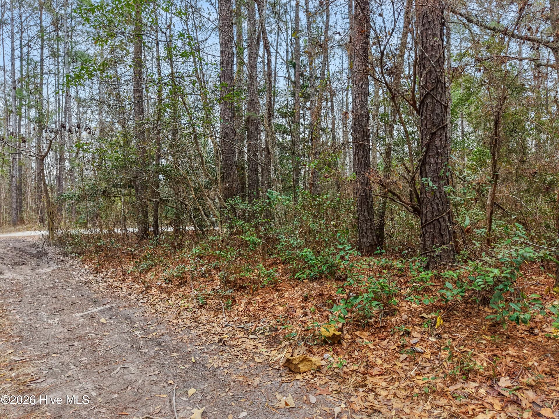 Mobile Home Lot at 1038 Andover Place SE, Bolivia, NC 28422, photo 7 of 17