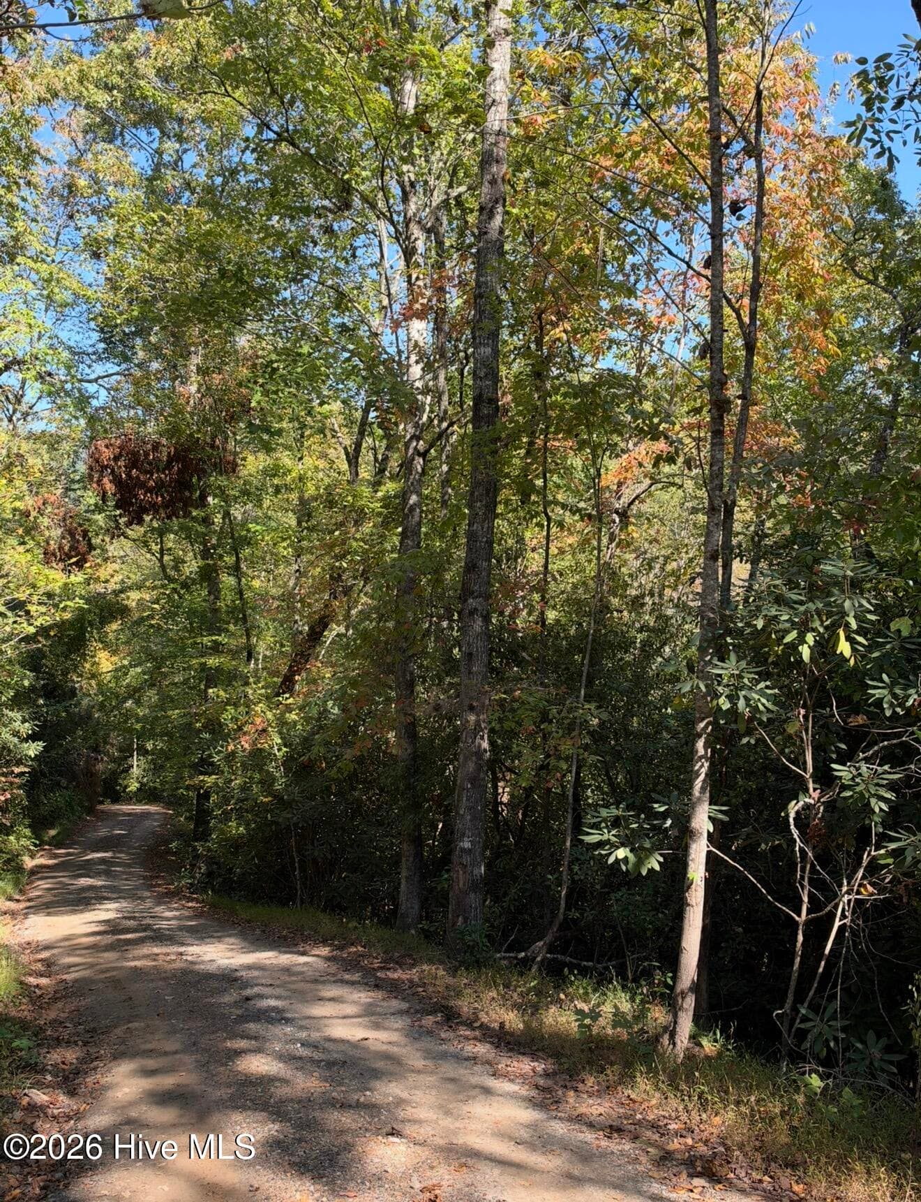 Residential Lot at 2290 Healy Fields Road, Andrews, NC 28901, photo 7 of 7