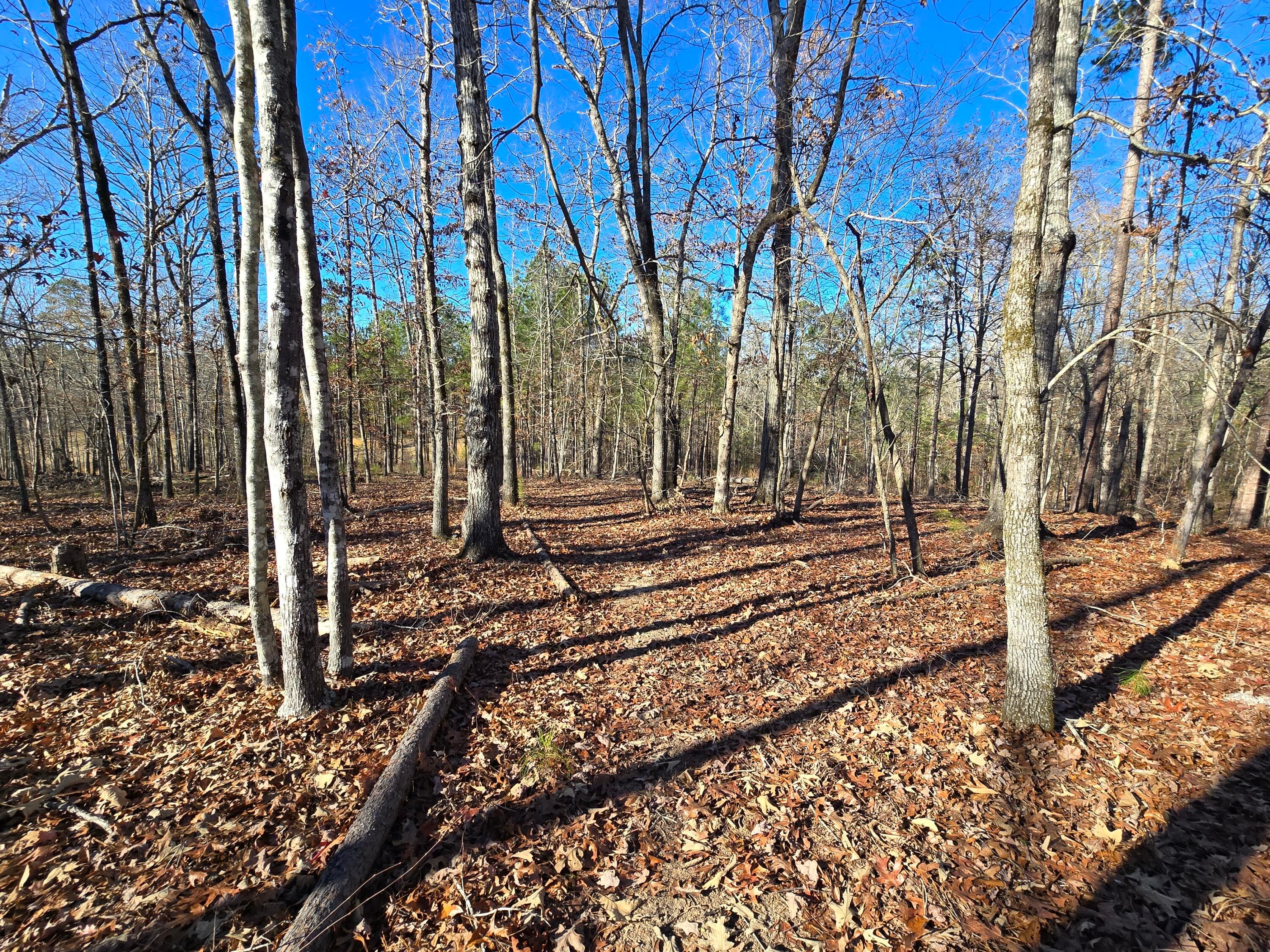 Residential Lot at 1102 Dogwood Drive, Lincolnton, GA 30817, photo 16 of 46