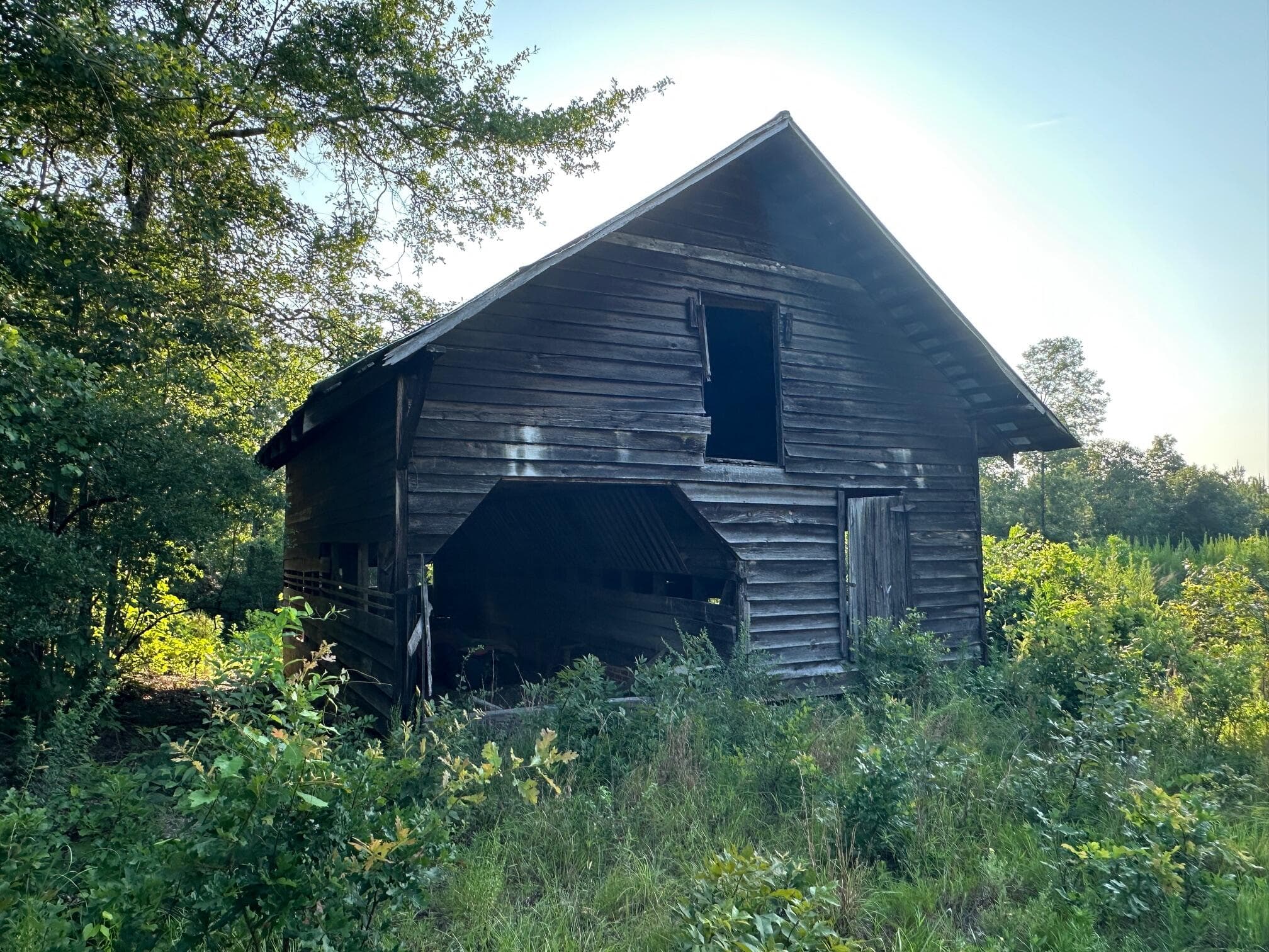 Undeveloped at 2576 Jessie James Pond Road, Wrens, GA 30833, photo 15 of 56