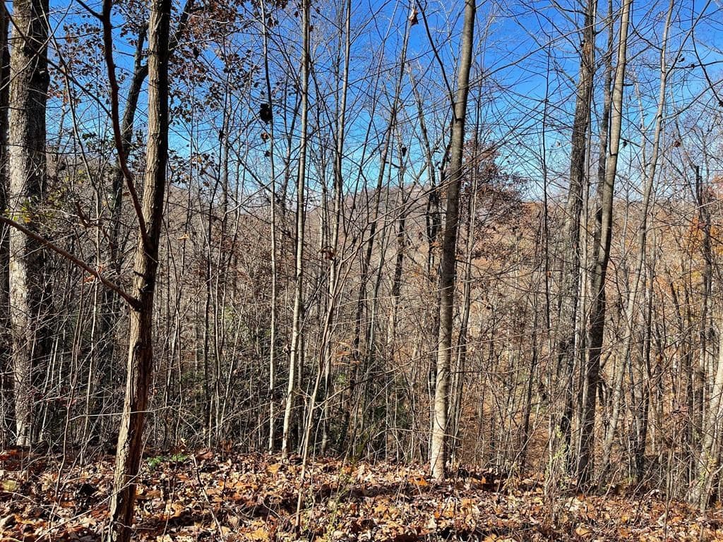 Lots Ash Branch View, Hayesville, NC 28904