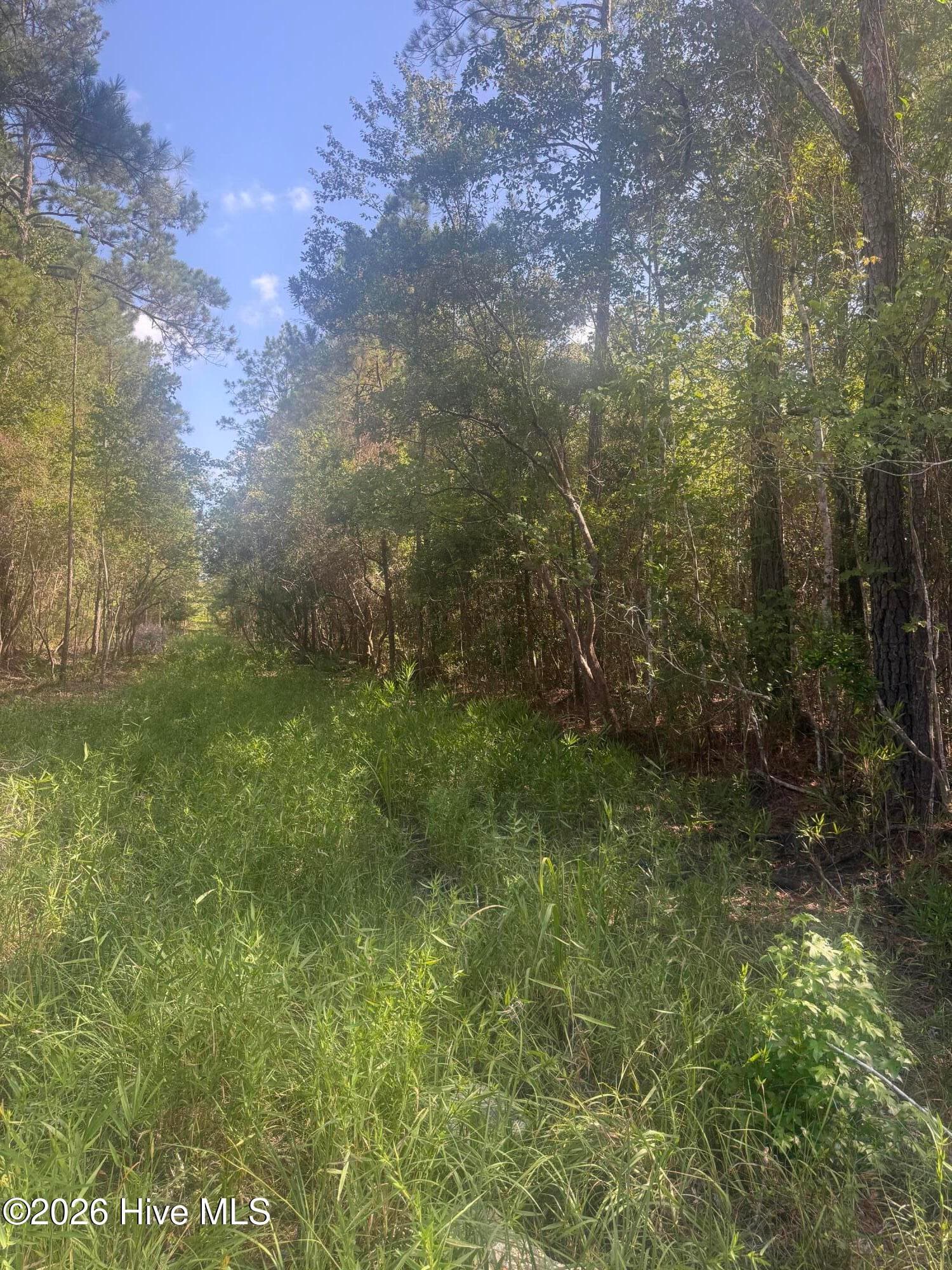 Tbd 12&13 S Goldfinch Place SE, Southport, NC 28461