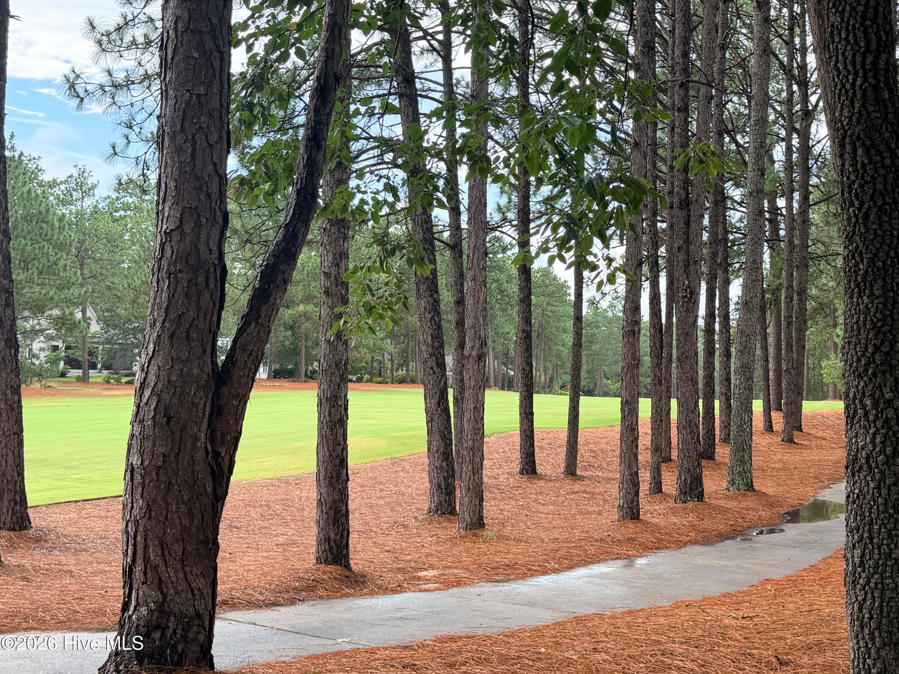 Single Family Residence at 48 Royal County Down, Pinehurst, NC 28374, photo 55 of 55
