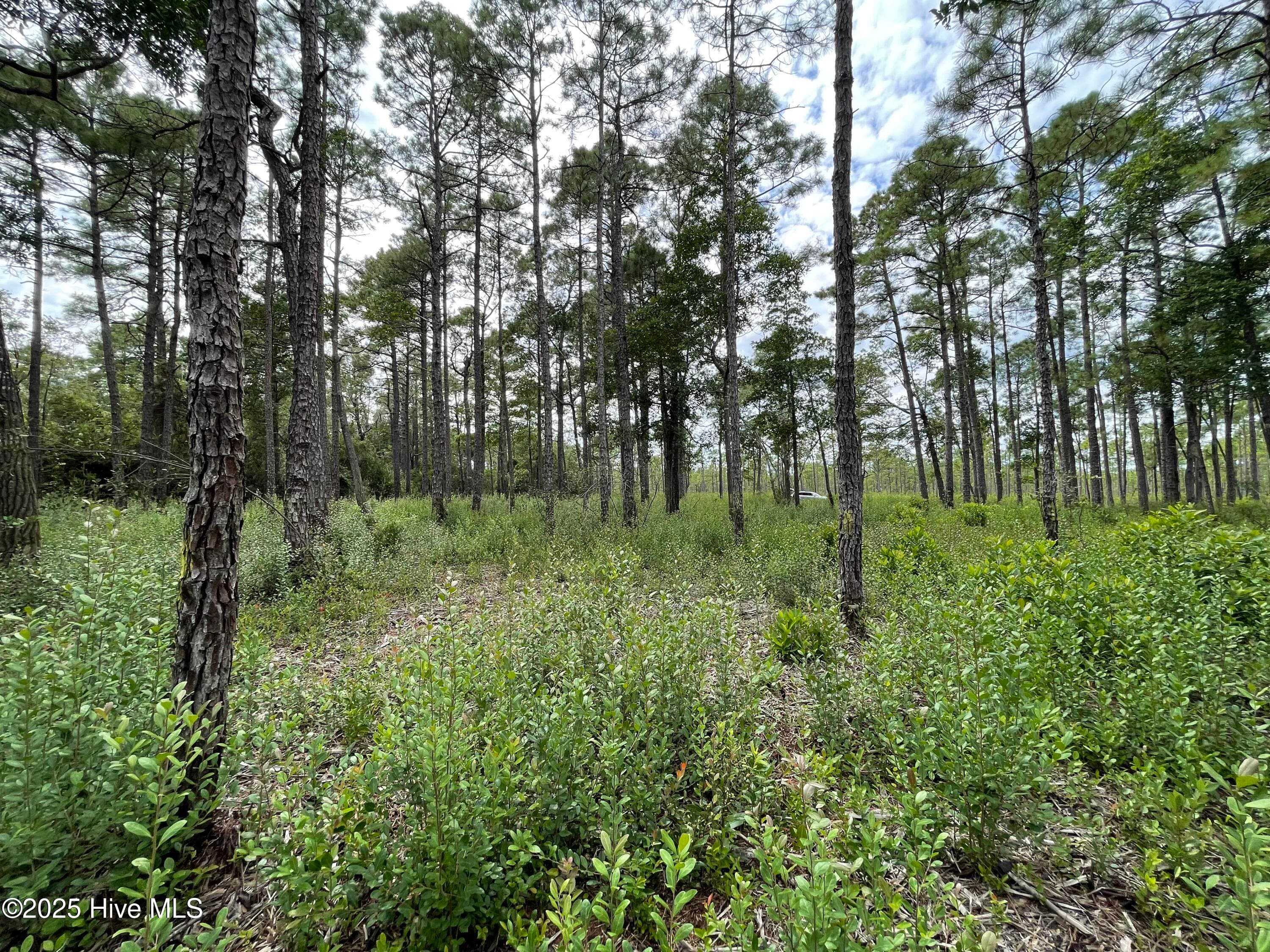 Residential Lot at 811 Brittany Road, Southport, NC 28461, photo 17 of 25